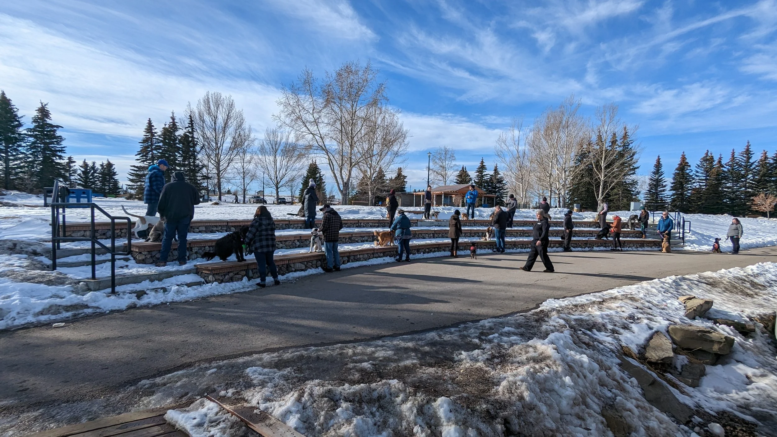 People and dogs gathering on tiered steps in a snowy park on a sunny day with a partly cloudy sky.