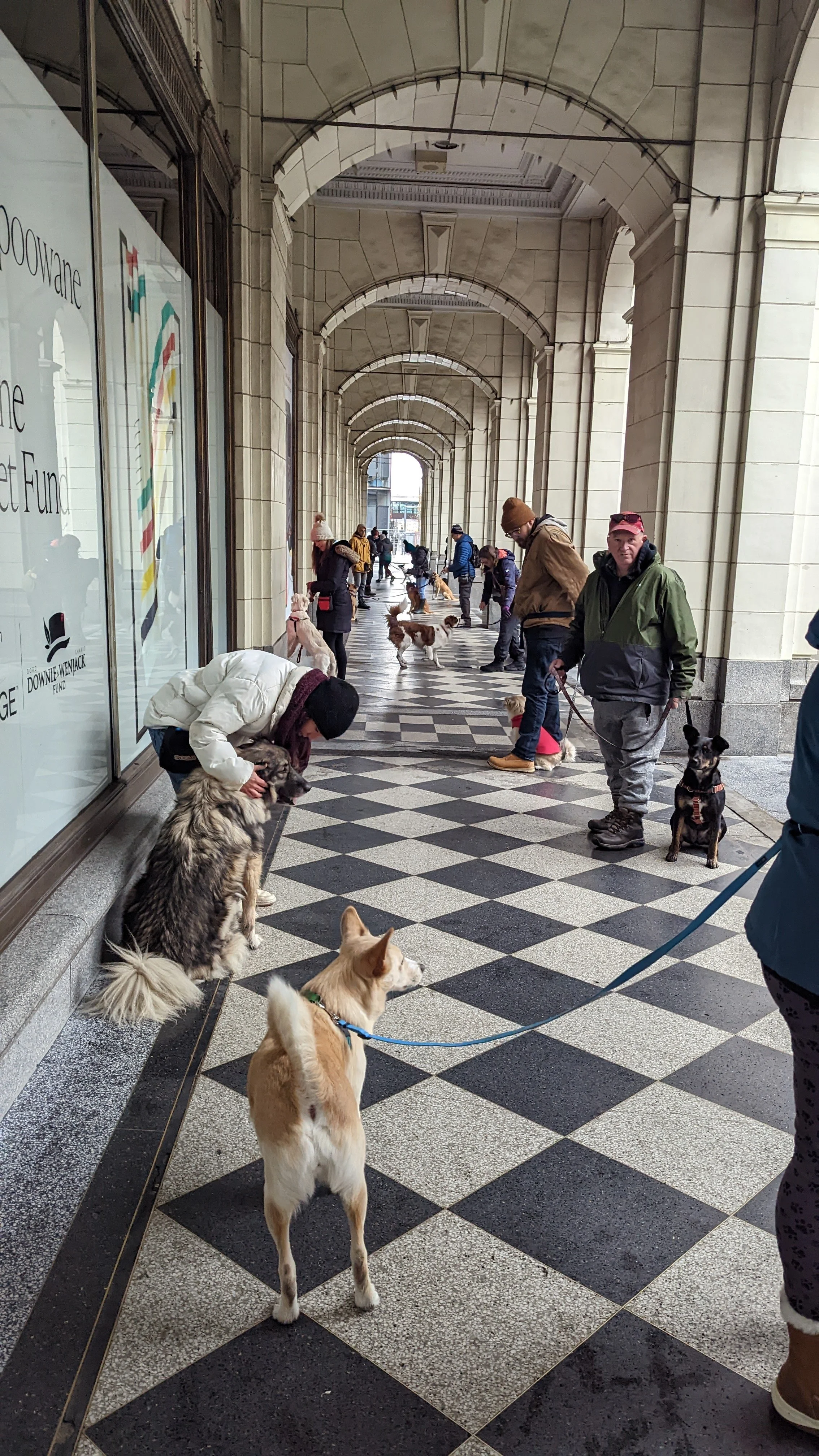 People walking and sitting with their dogs in a covered walkway with arches and tiled floor.