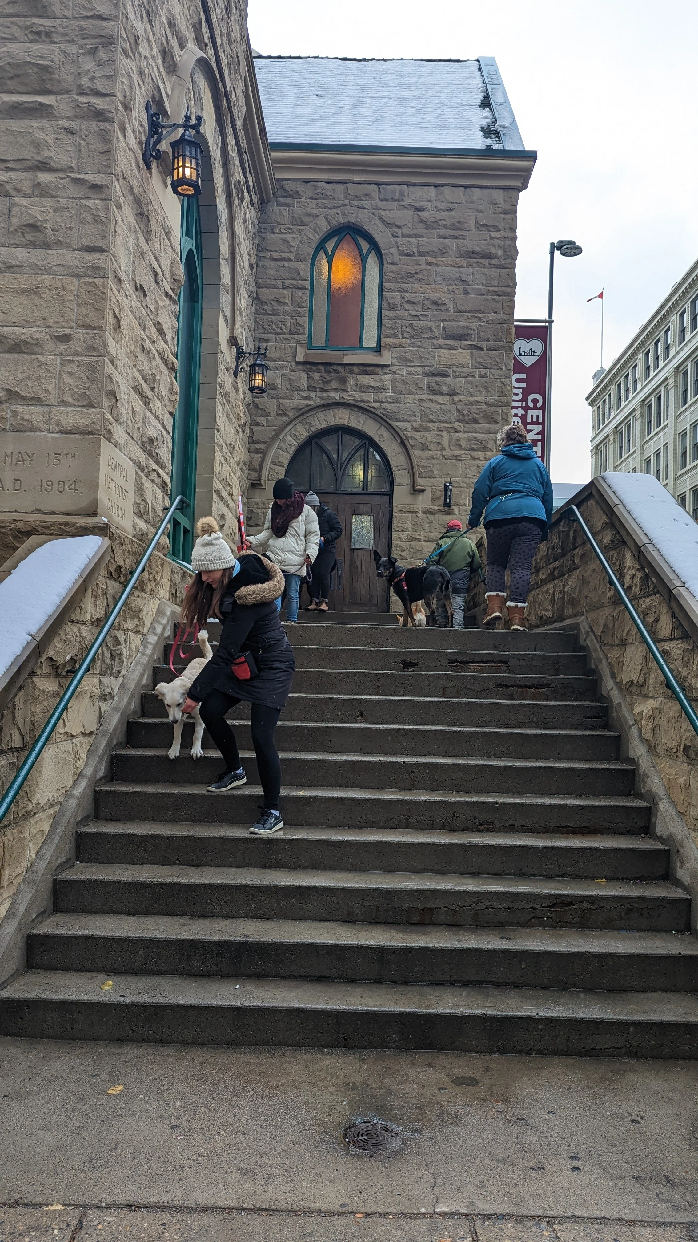 People and dogs ascending outdoor stone steps in front of a stone building with stained glass windows.