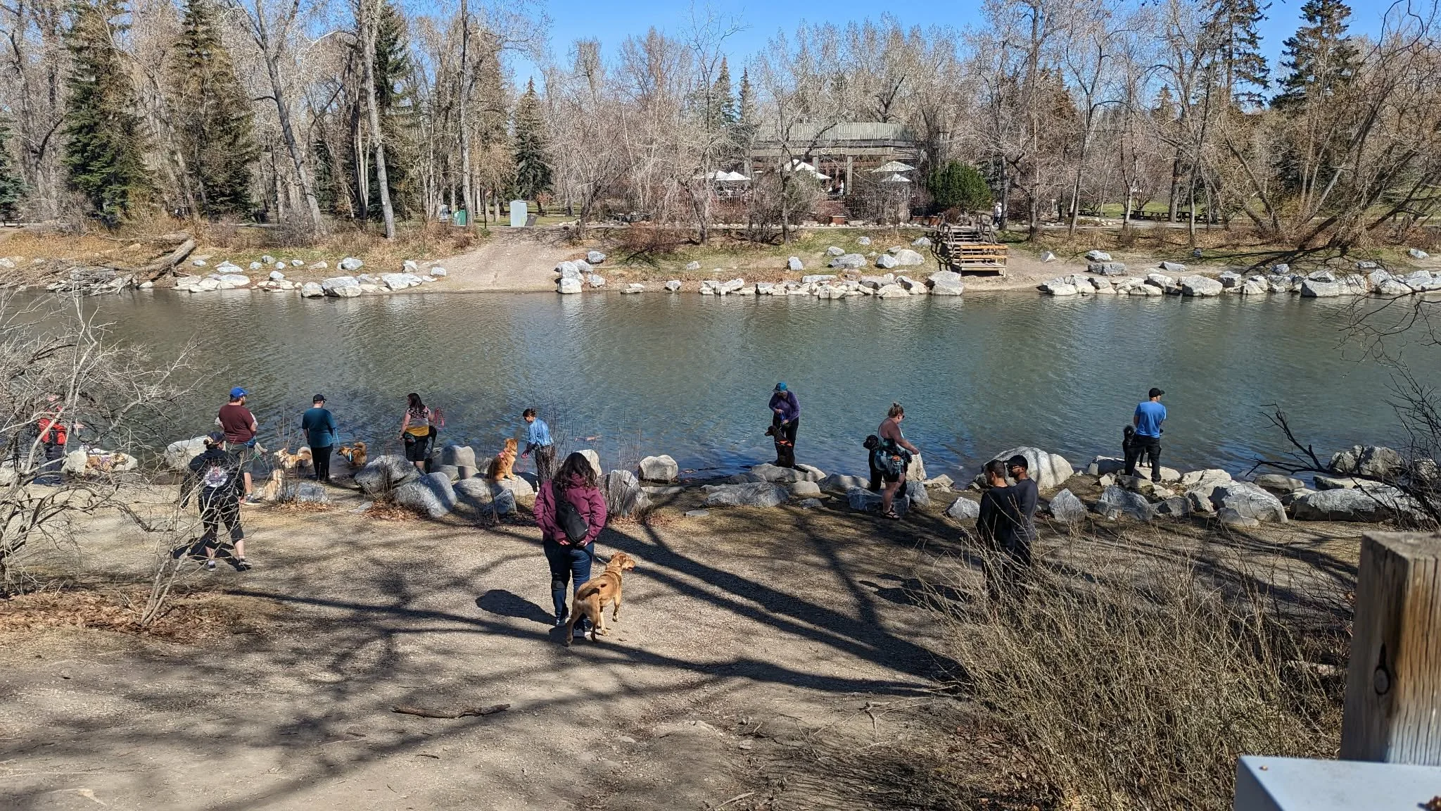 People gathered along a lakeshore, some with dogs, with a wooded area and restaurant visible in the background.