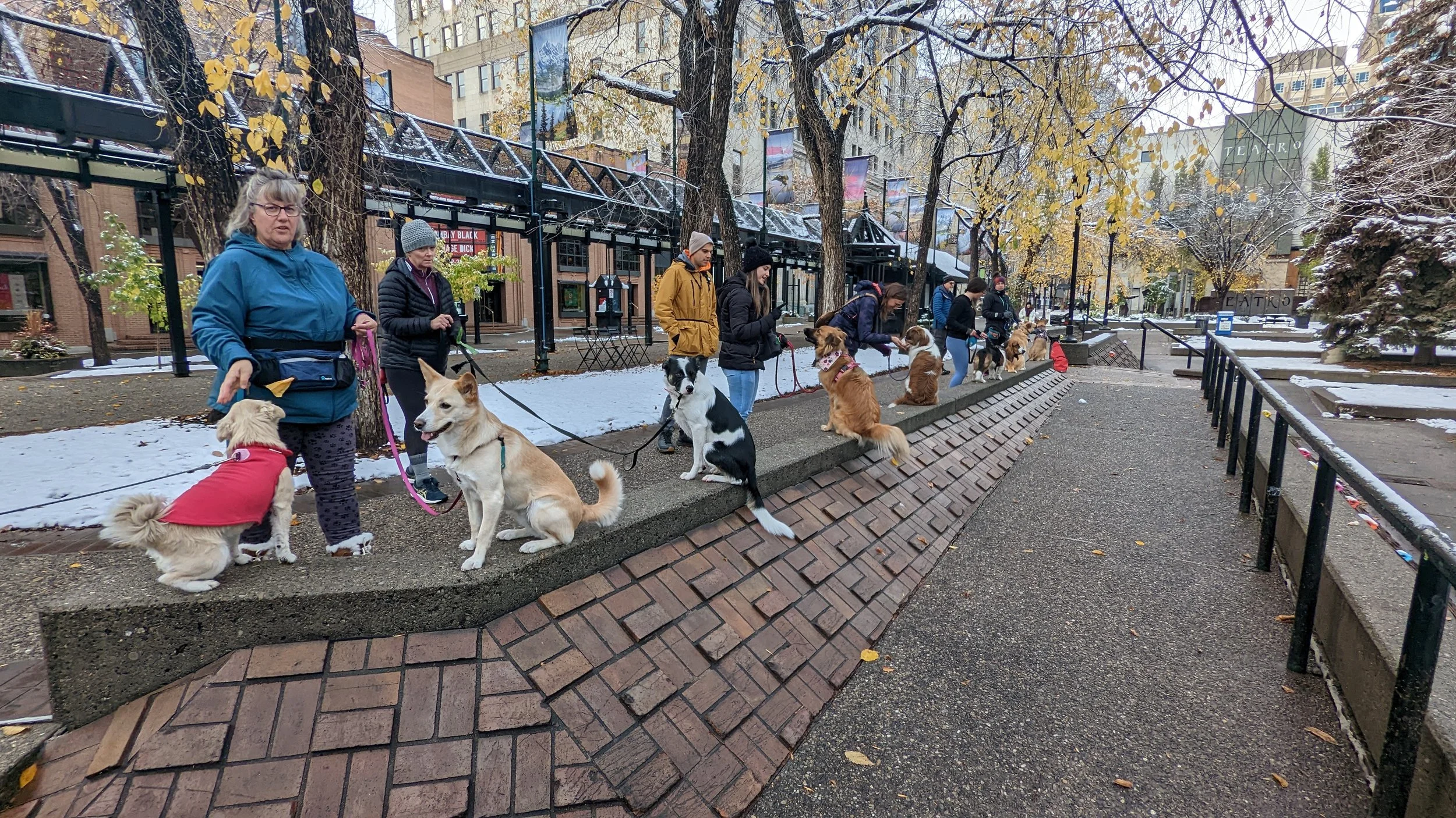 People walking dogs along a city sidewalk on a cloudy day with some snow active on the ground and trees.