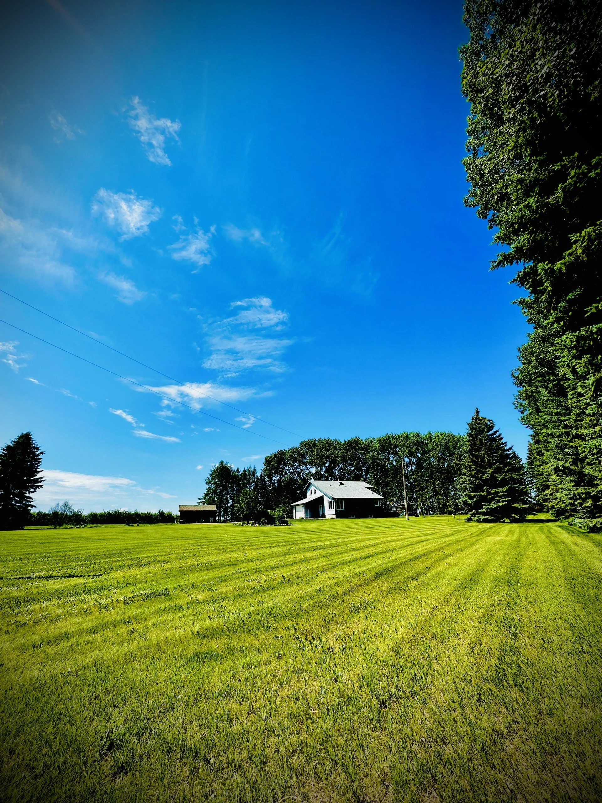 A house on a lush green lawn with tall trees around and a bright blue sky with some clouds overhead.