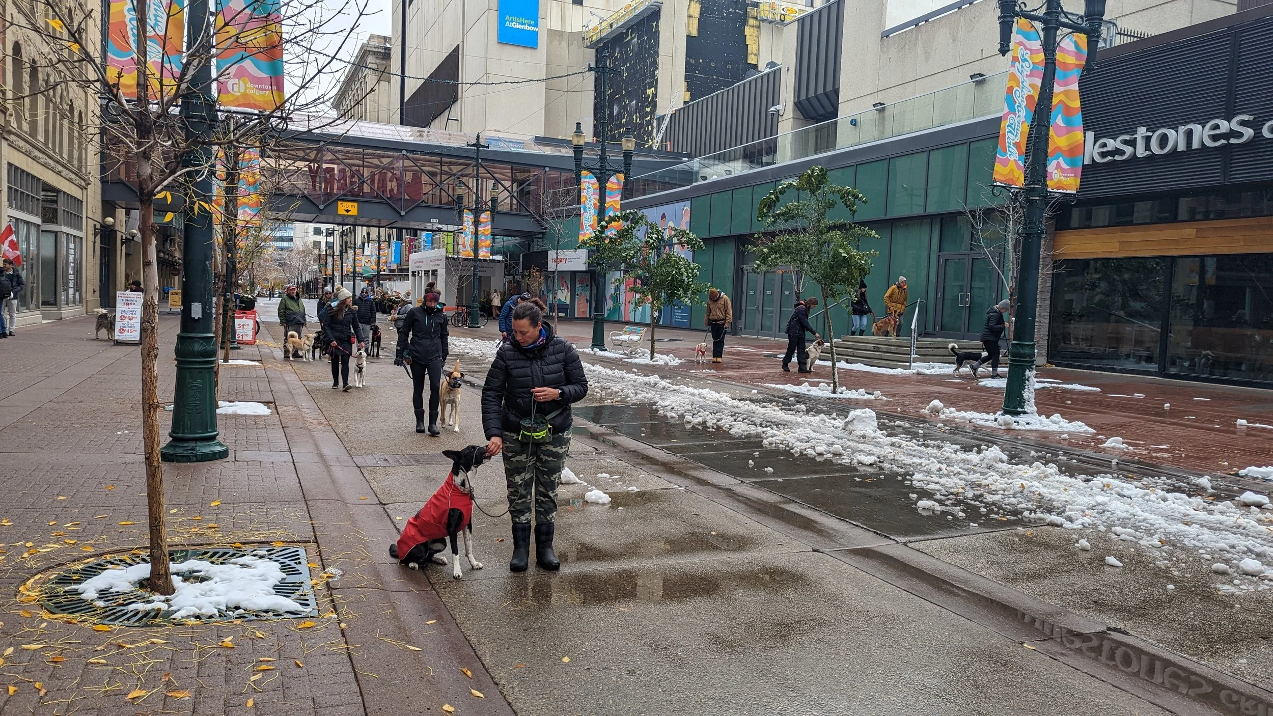 People walking dogs on a city sidewalk with snow patches, trees, and colorful banners hanging from streetlamps.