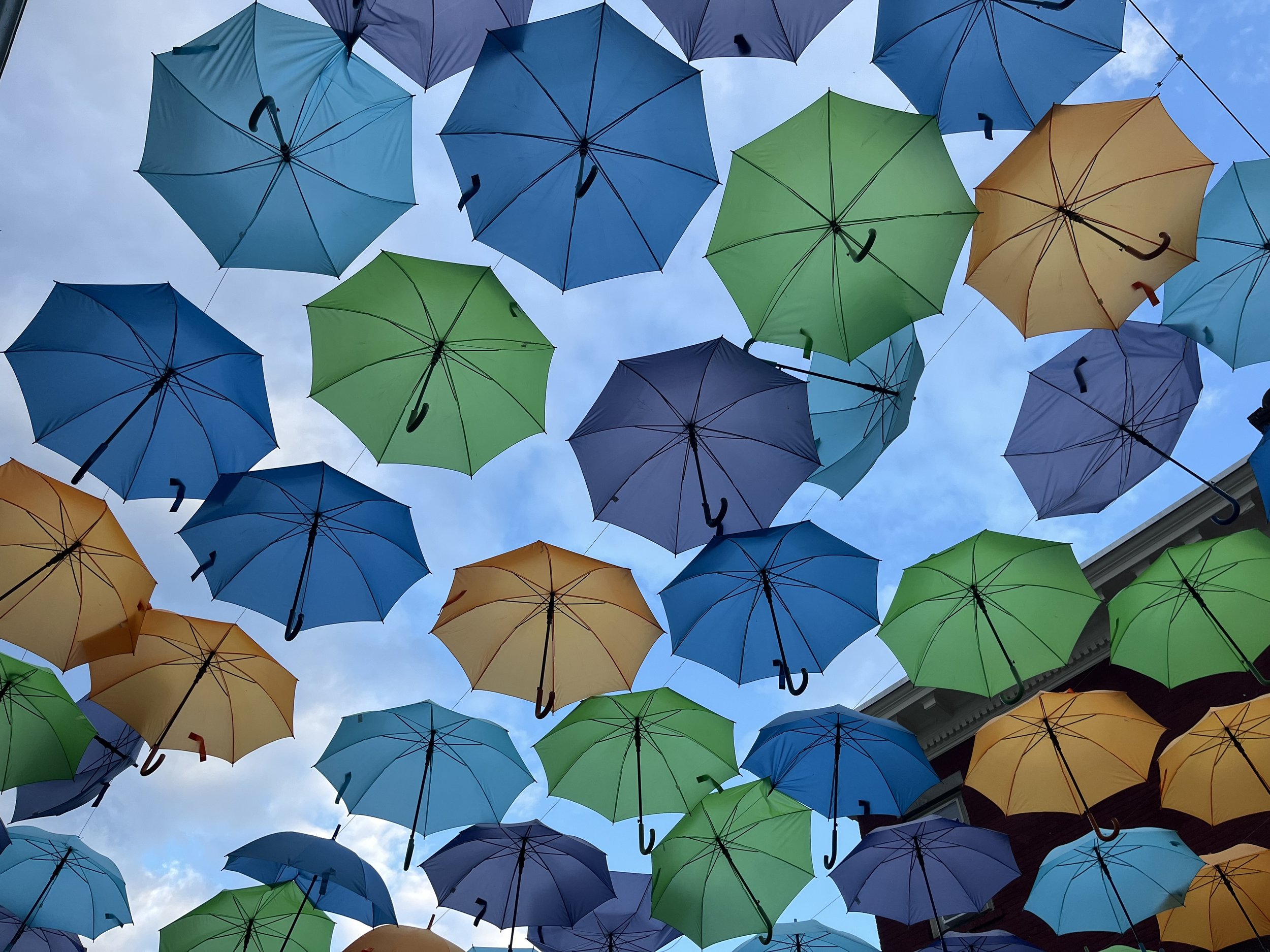 umbrellas.jpeg