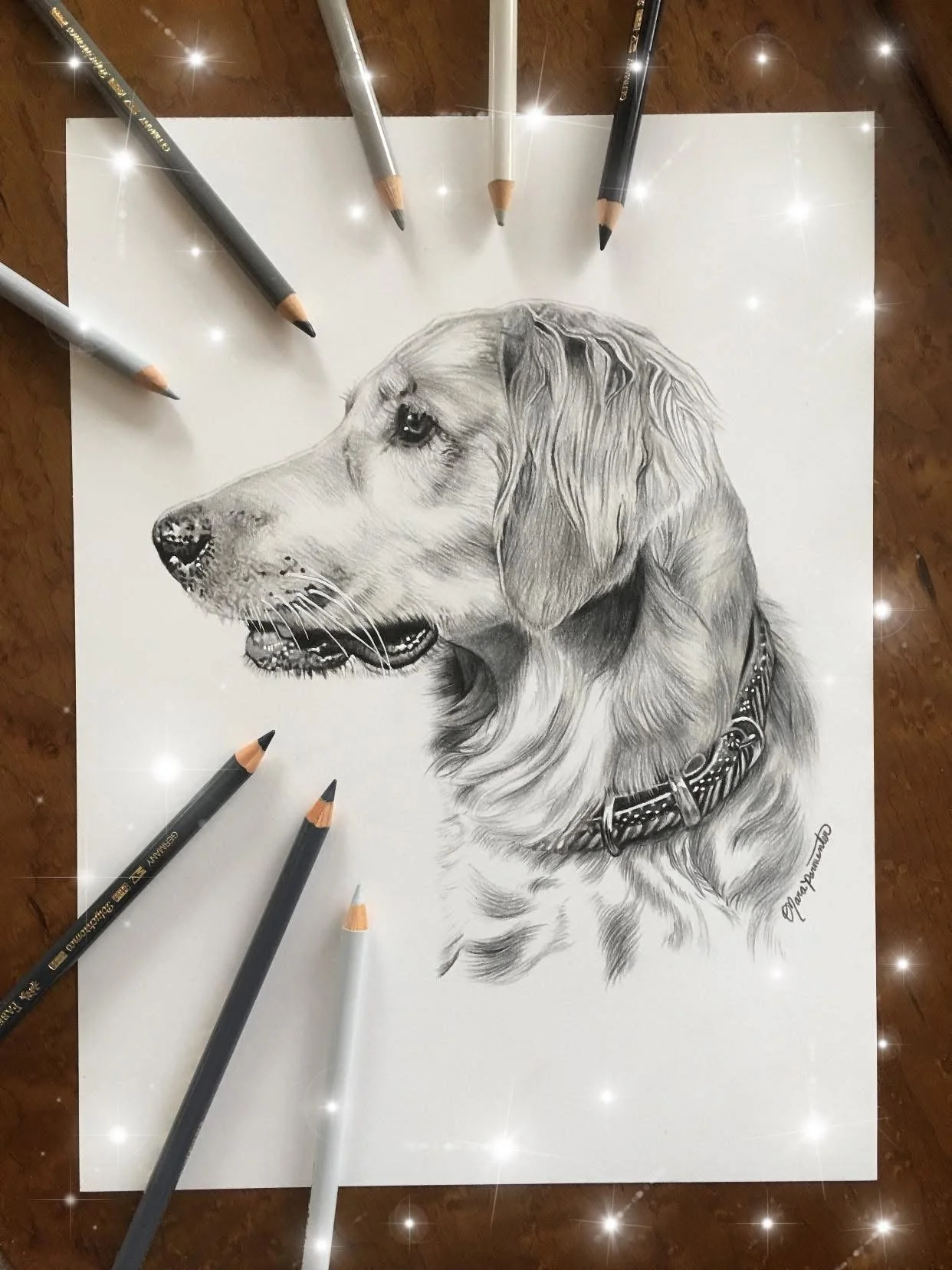 Detailed black and white pencil drawing of a golden retriever dog with a collar, surrounded by colored pencils on a white sheet of paper.