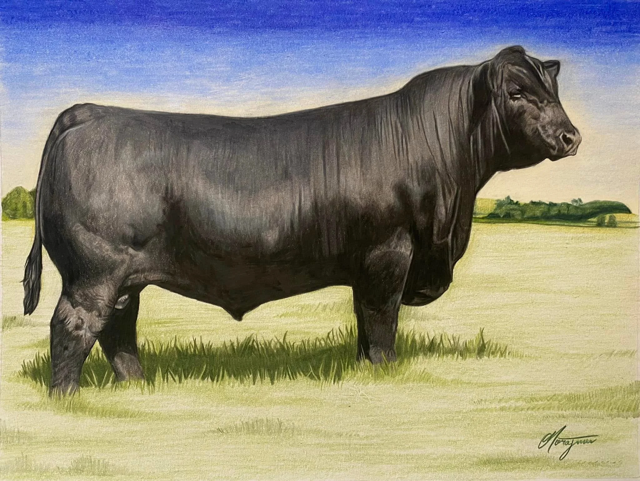 Painting of a black cow standing on green grass with blue sky and distant trees in the background.