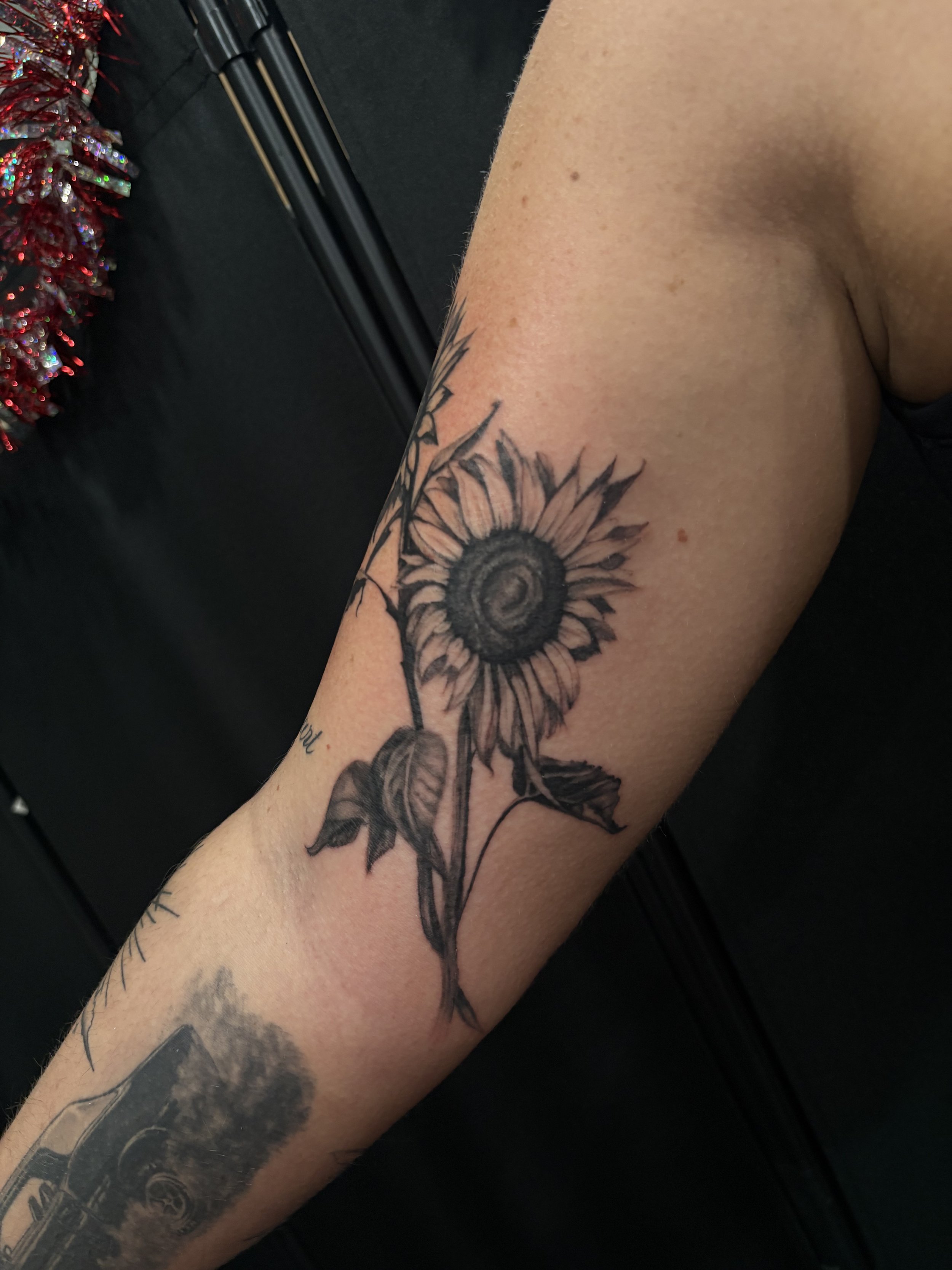 IMG_2641 (1).jpeg