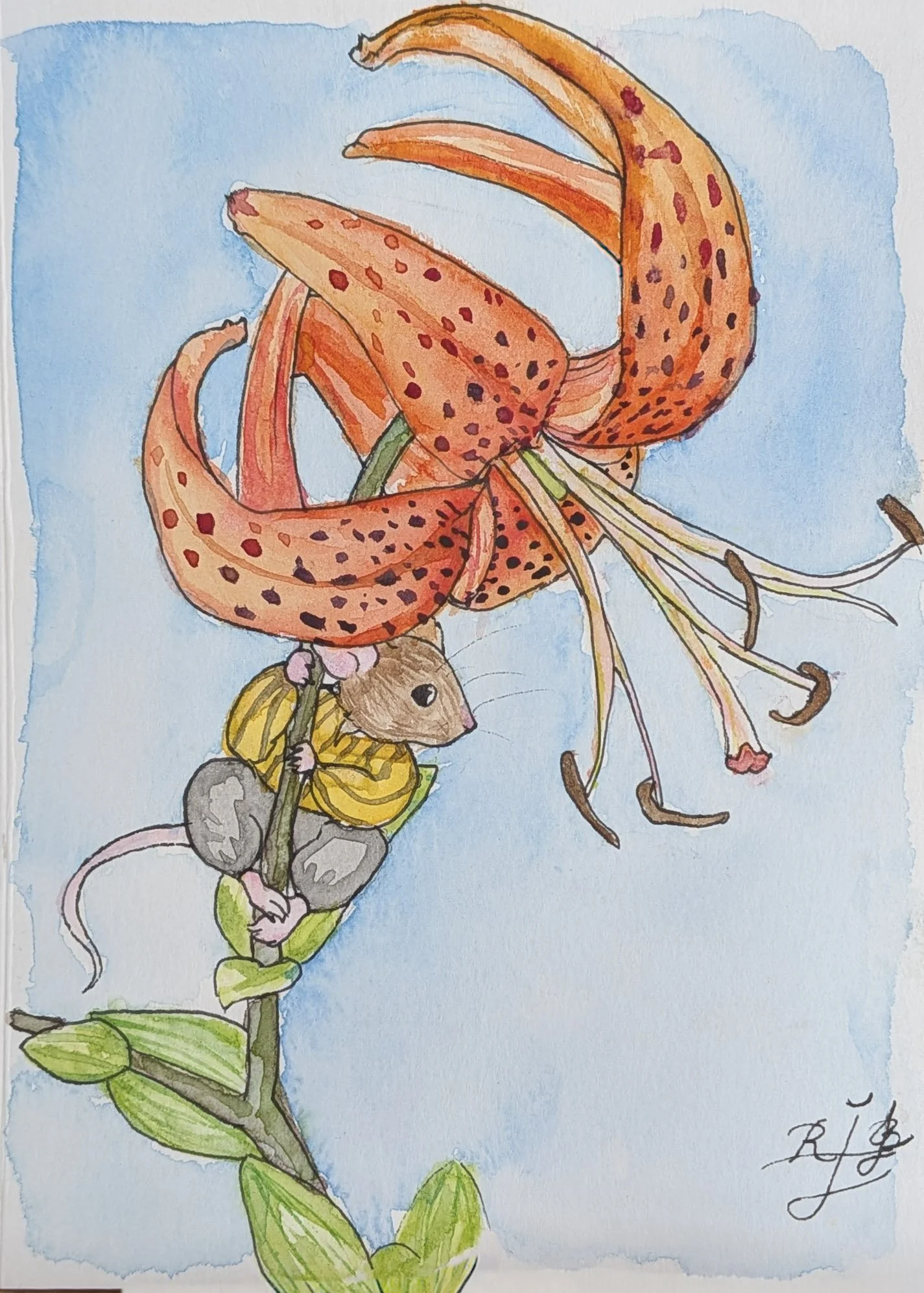 Mice-Orange Lilly.jpg
