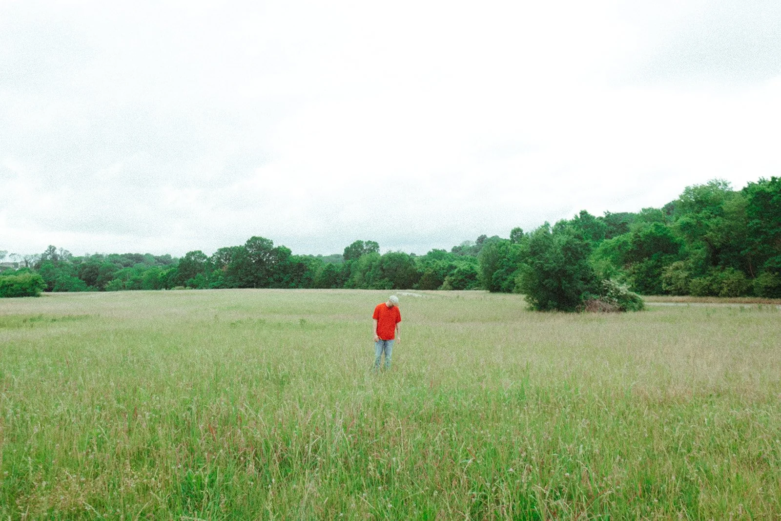 A person in a red shirt and jeans walking through a grassy field with trees in the background and a cloudy sky overhead.