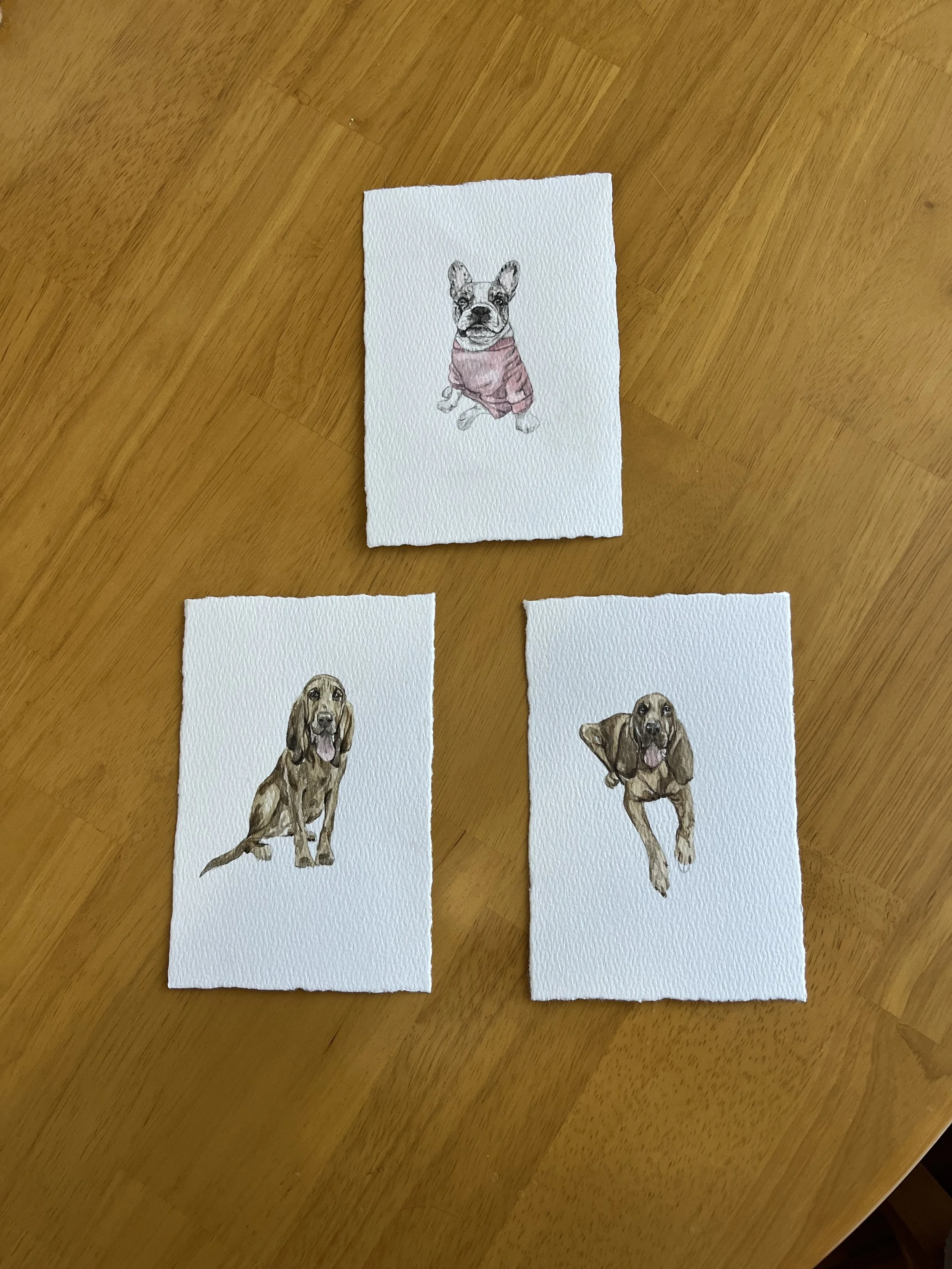 IMG_7033.jpeg