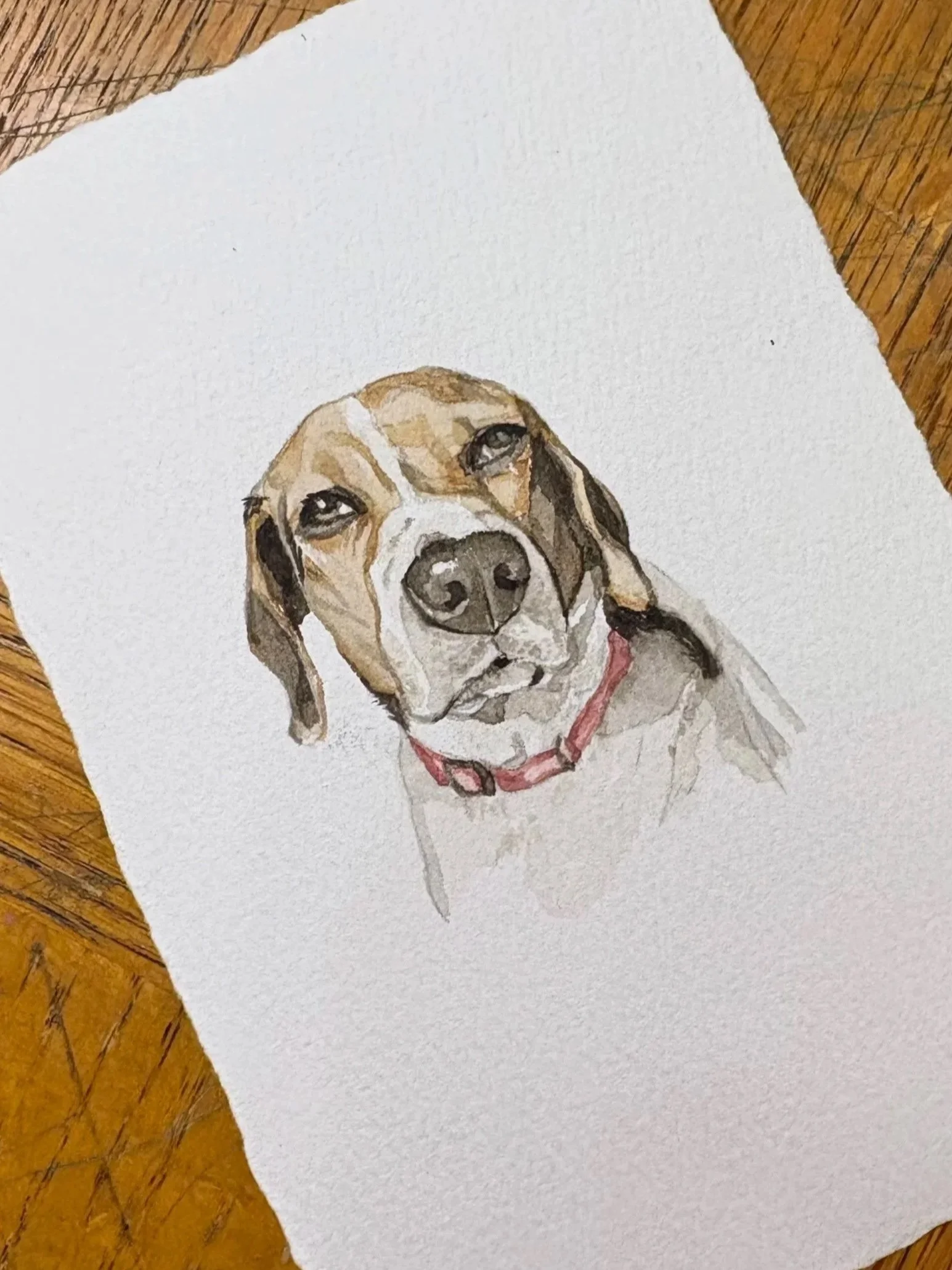 A watercolor painting of a beagle dog with a pink collar on white paper placed on a wooden surface.