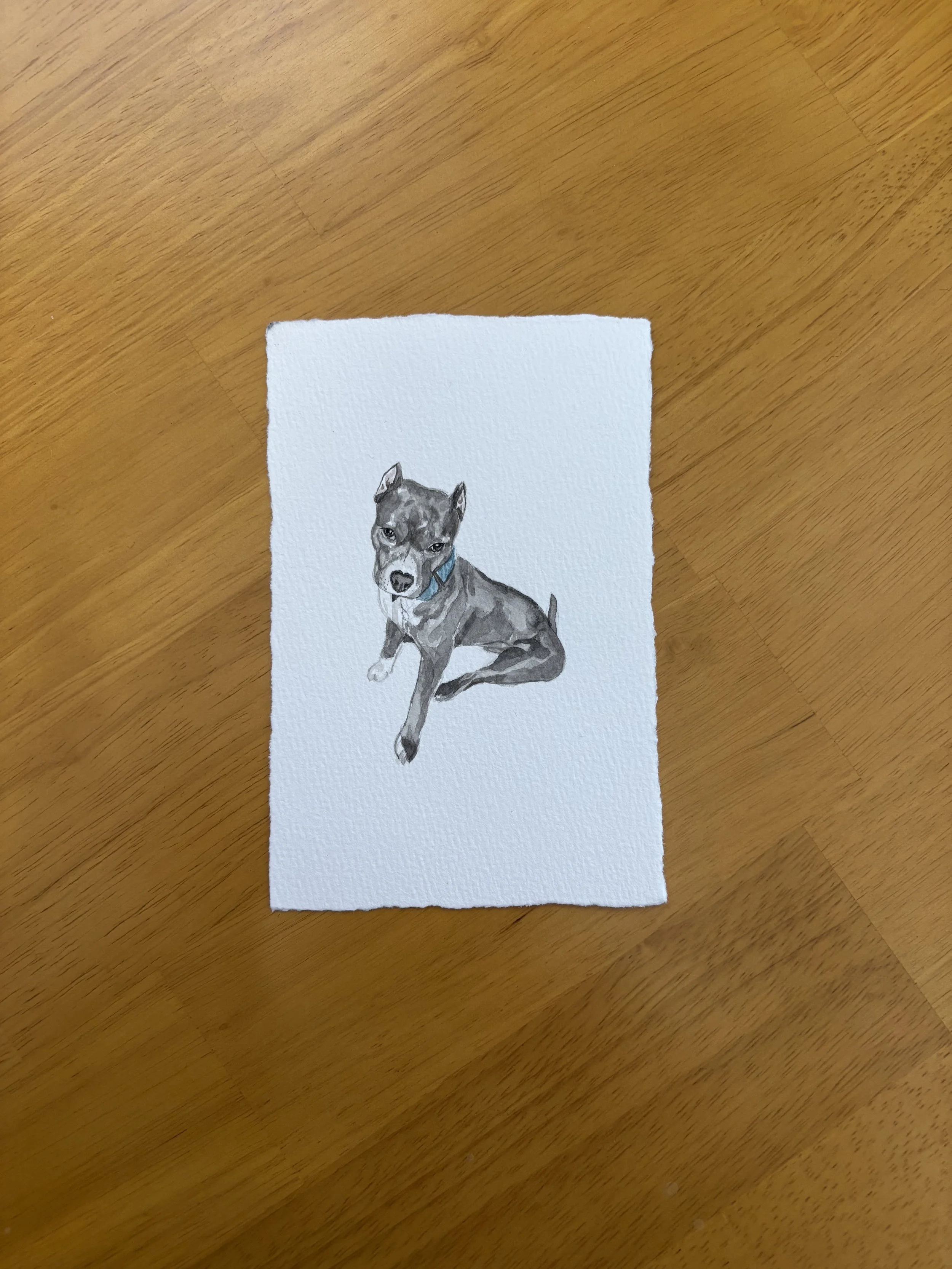 IMG_7669.jpeg