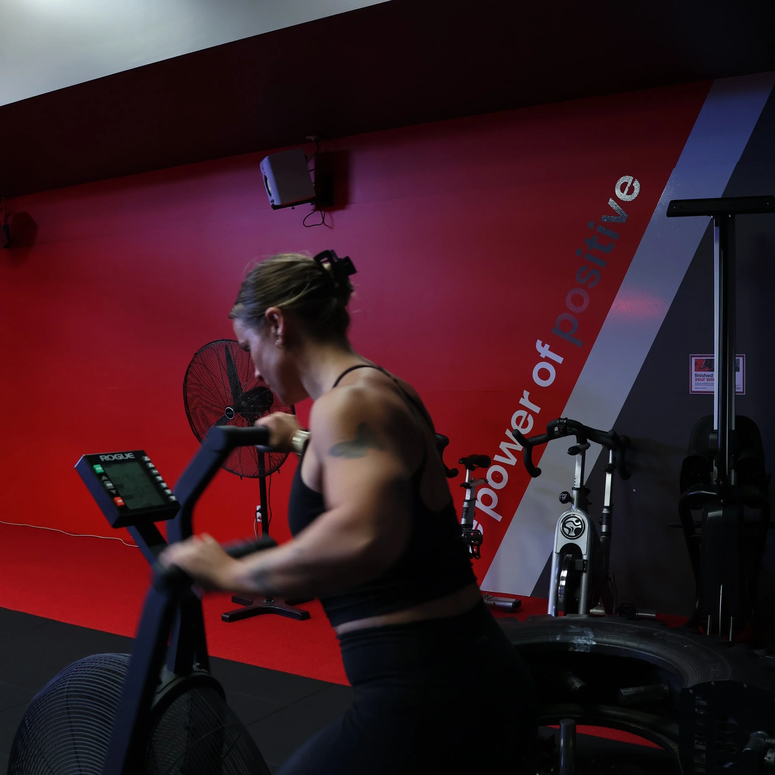 Custom gym program