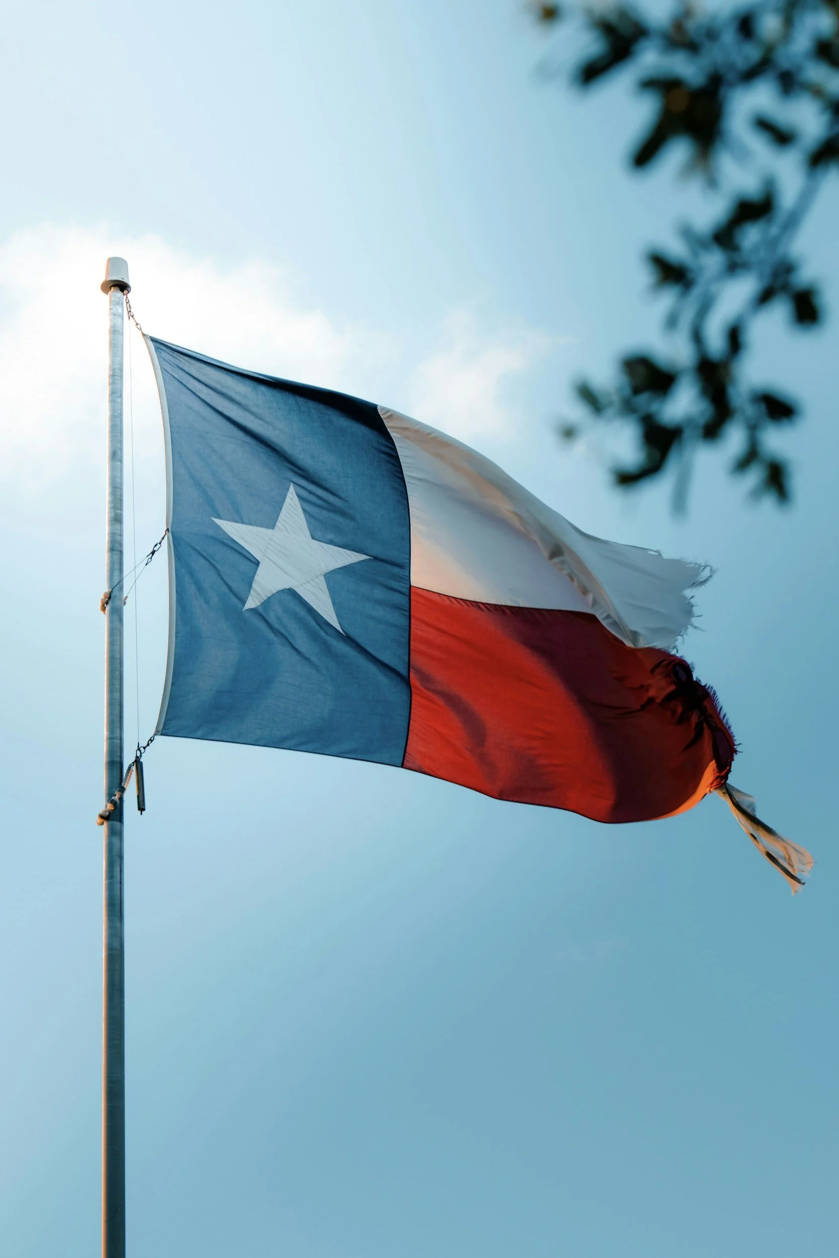 Texas flag flying on a flagpole against a blue sky with some clouds and tree branches in the foreground.