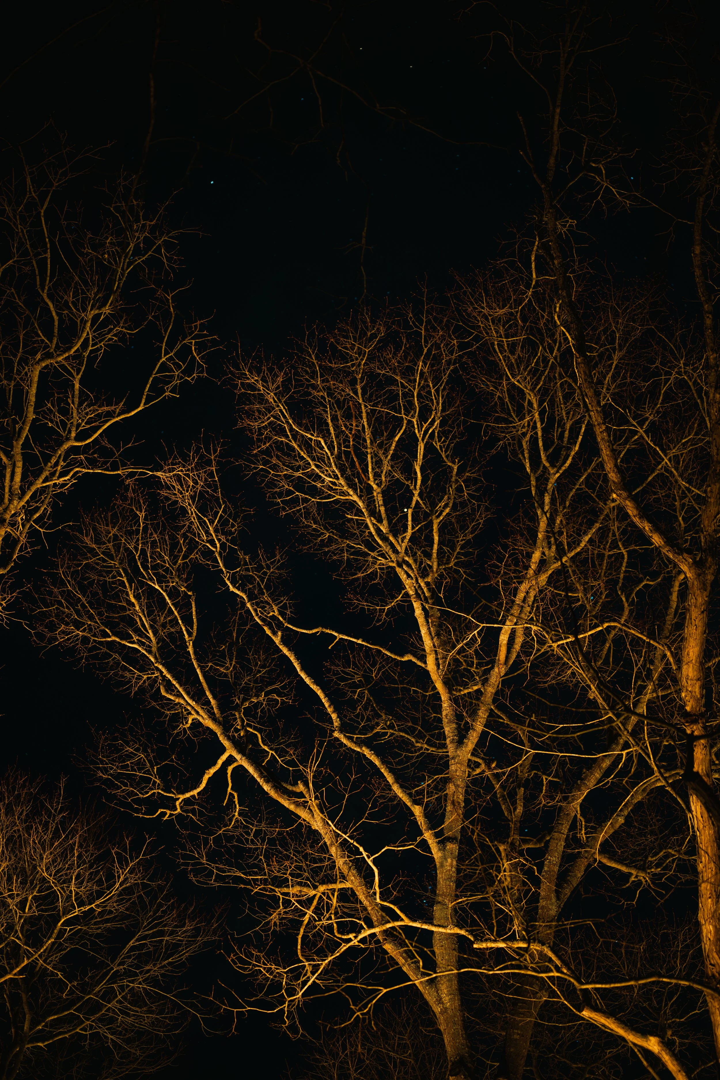 DSC_7863.JPG
