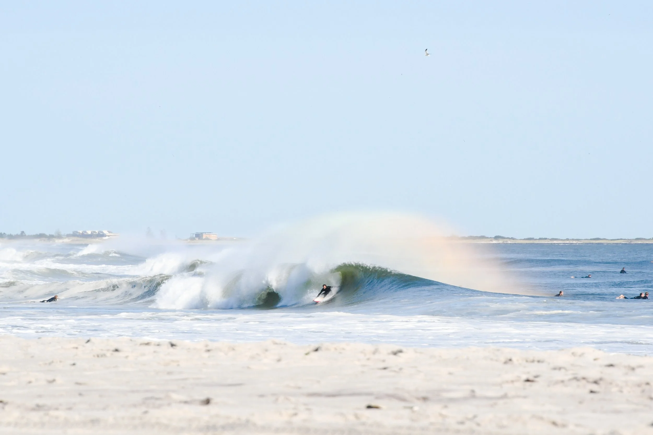 DSC_3635.jpg