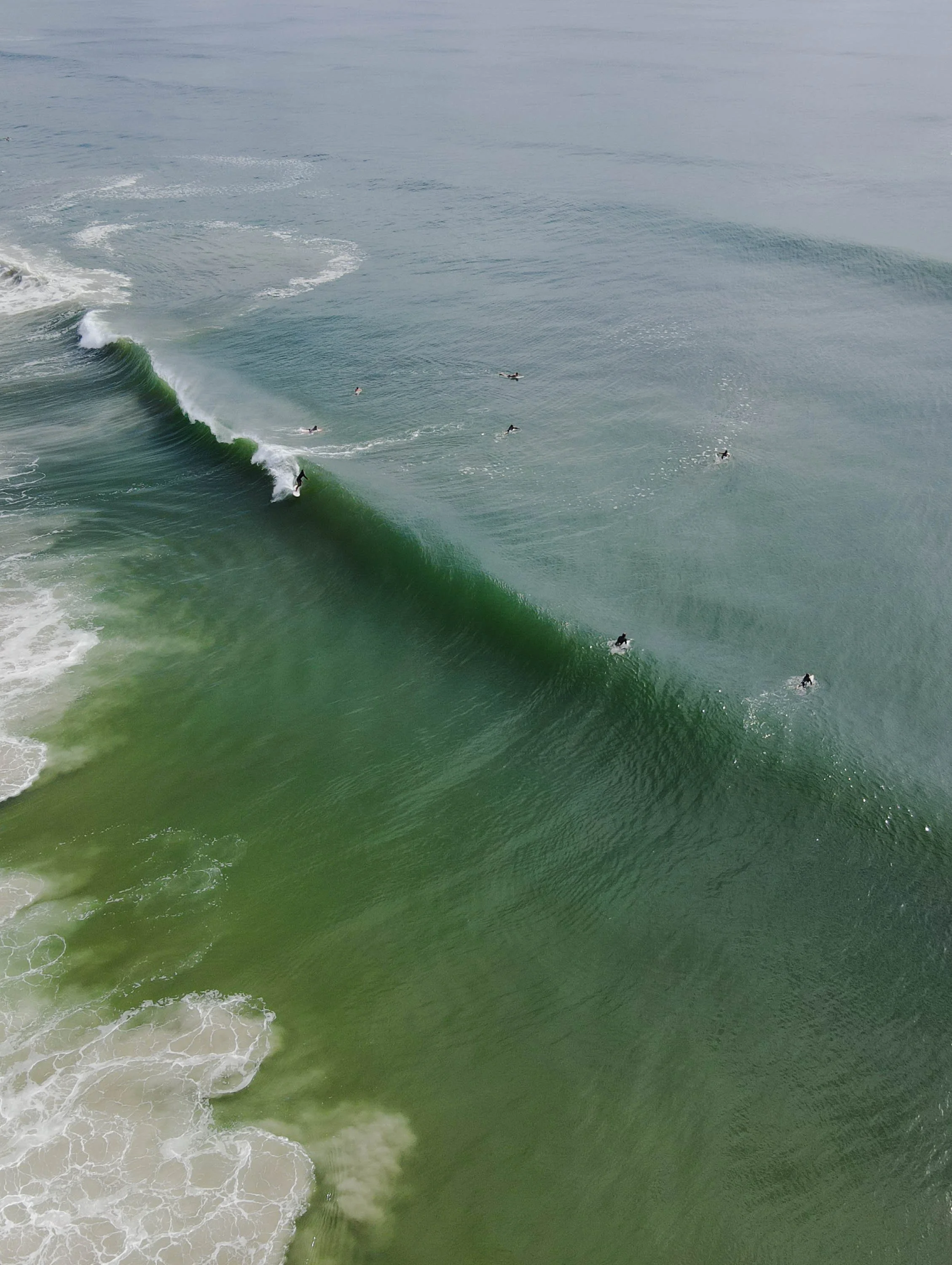 dji_fly_20230912_111442_28_1694533316852_burst.JPG