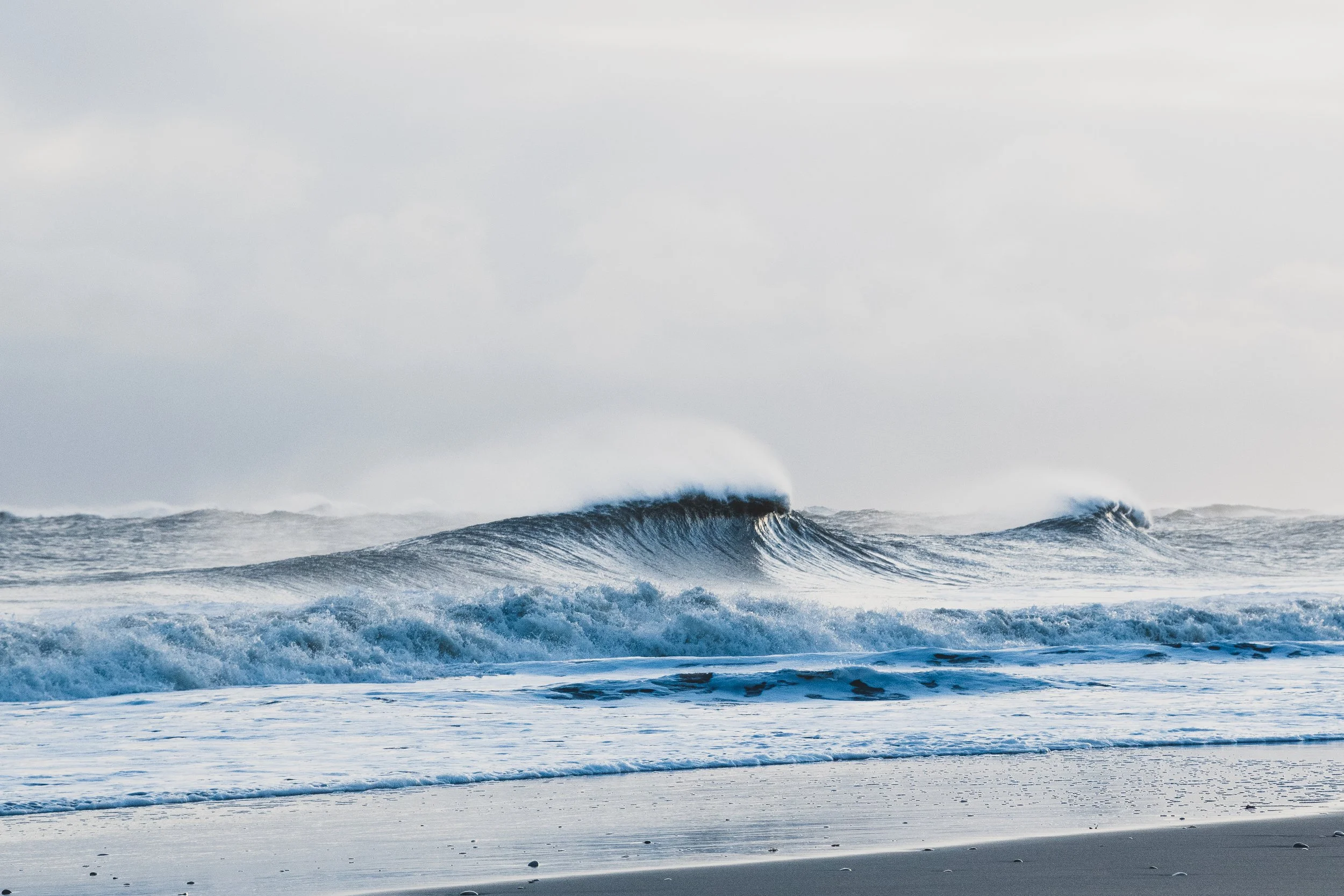 DSC_5679.jpg