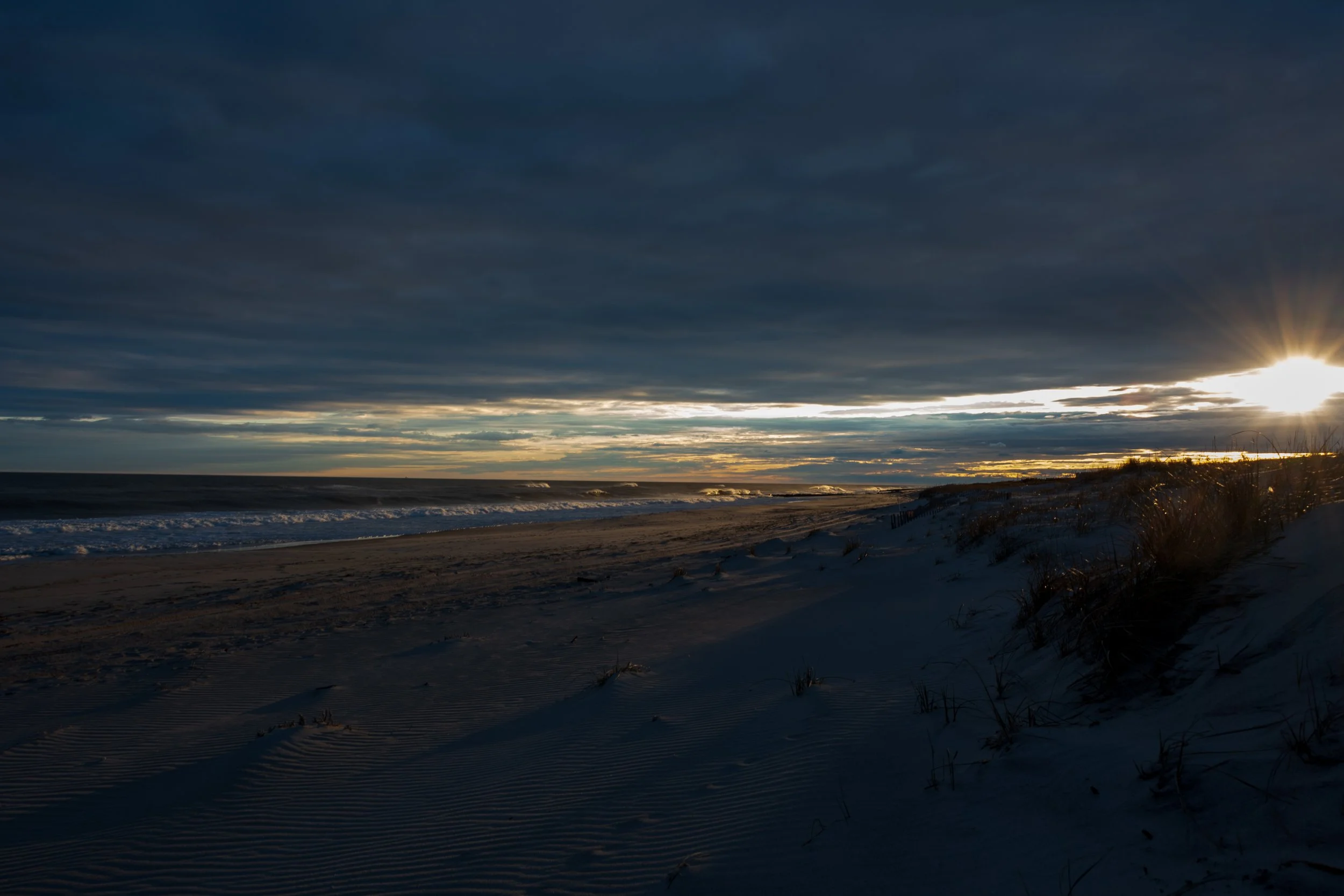 DSC_9828.jpg
