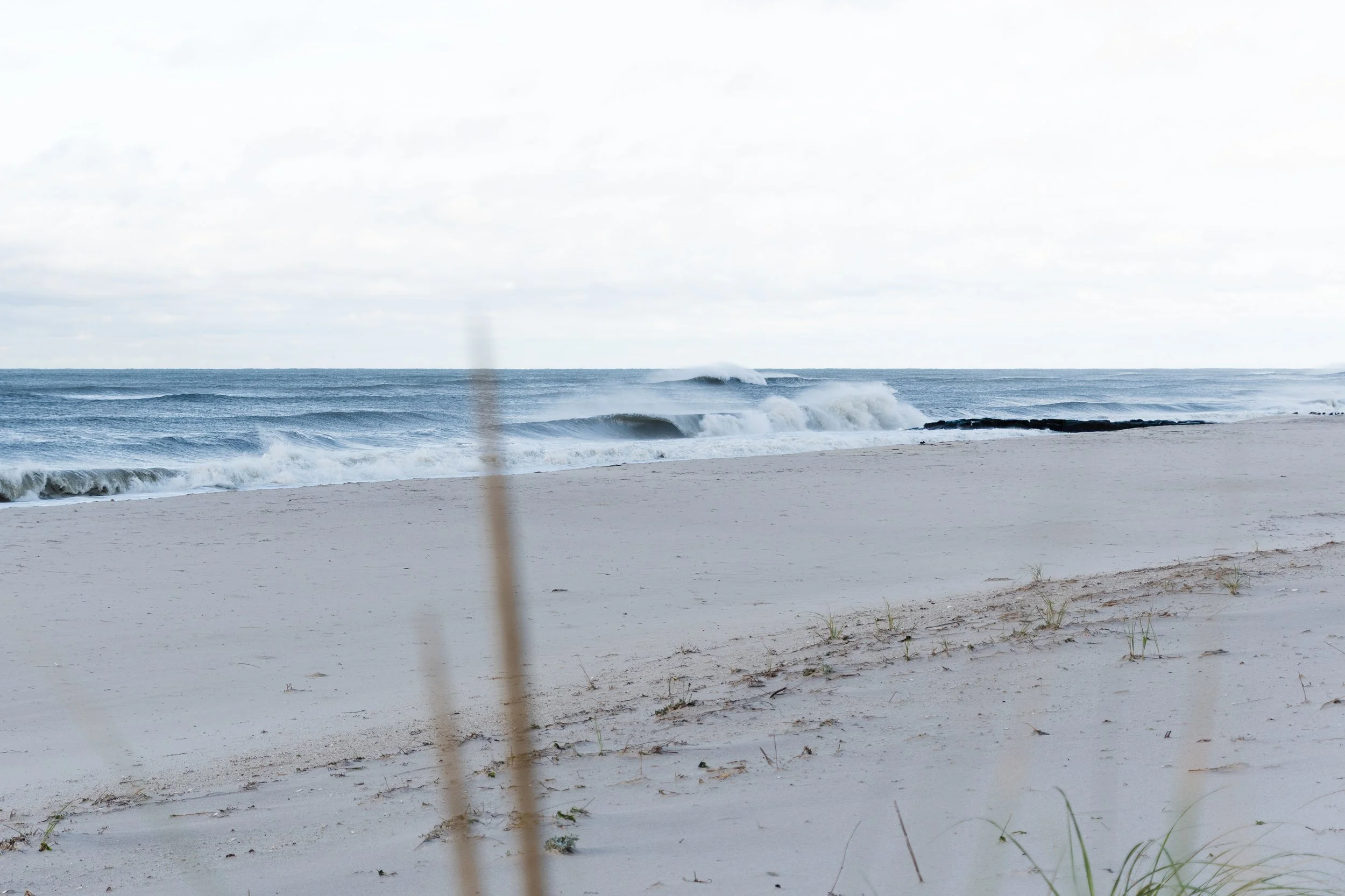 DSC_5035.jpg