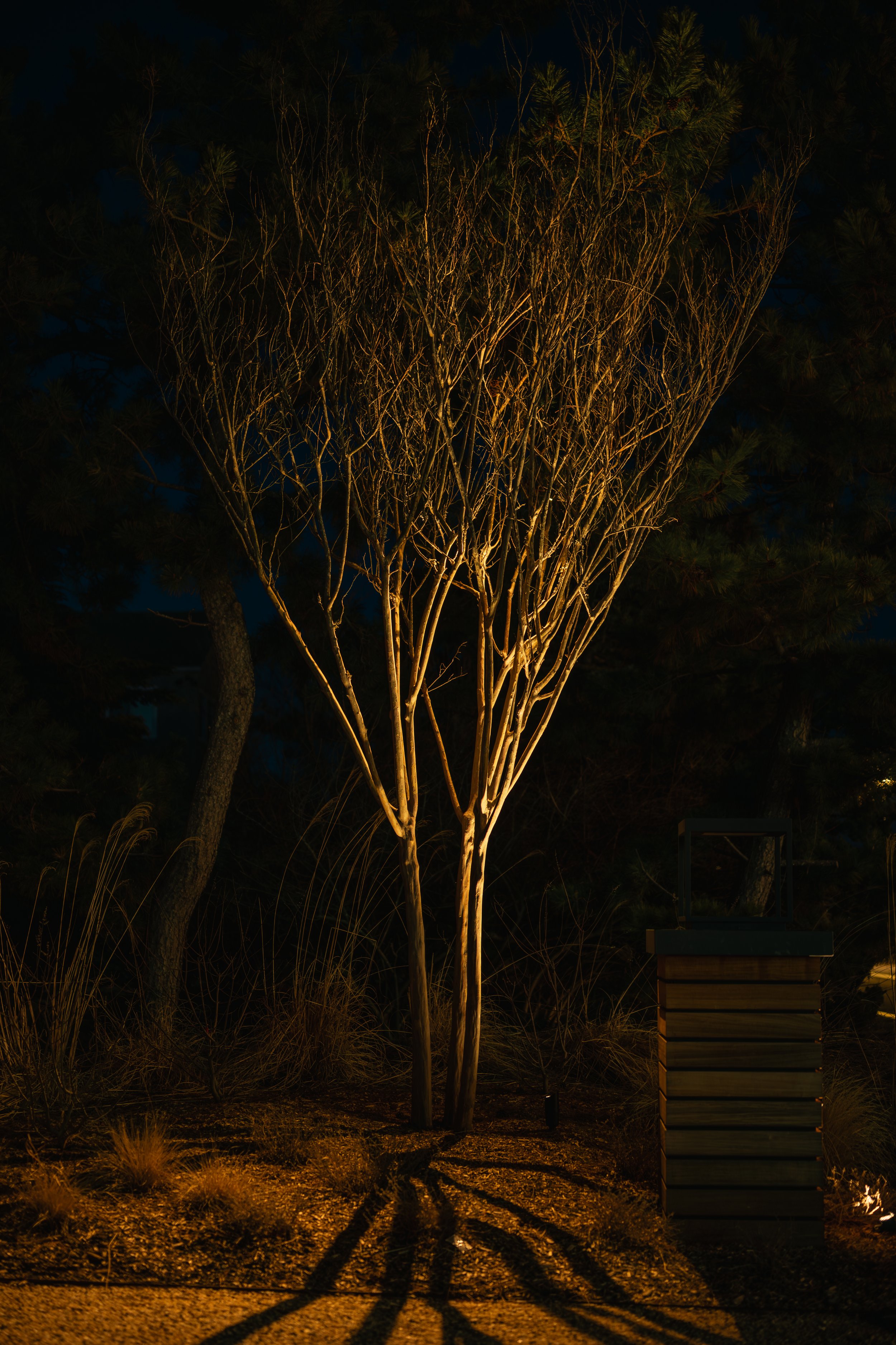 DSC_8230.JPG