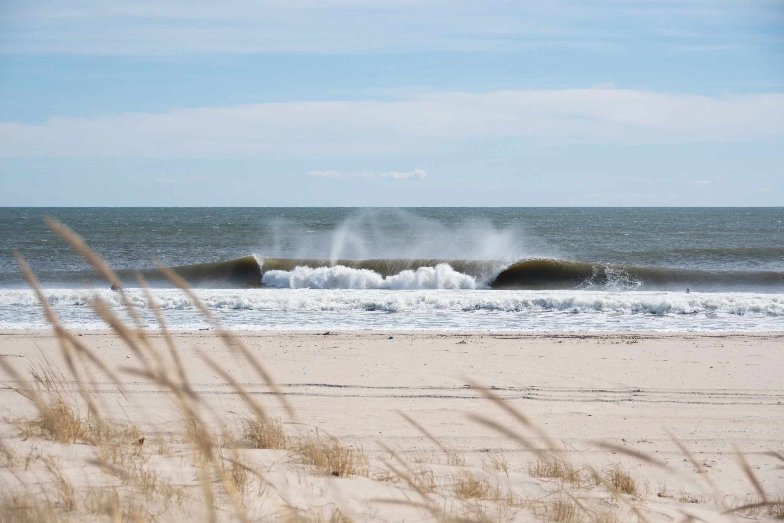 DSC_8415.jpg