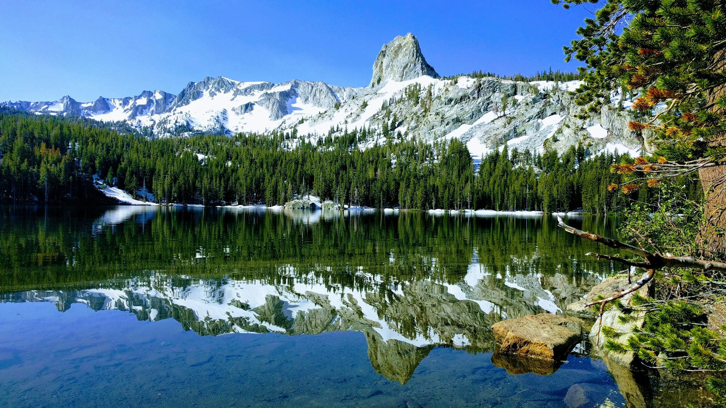Car Detailing Mammoth Lakes| Professional Mobile Detailing 