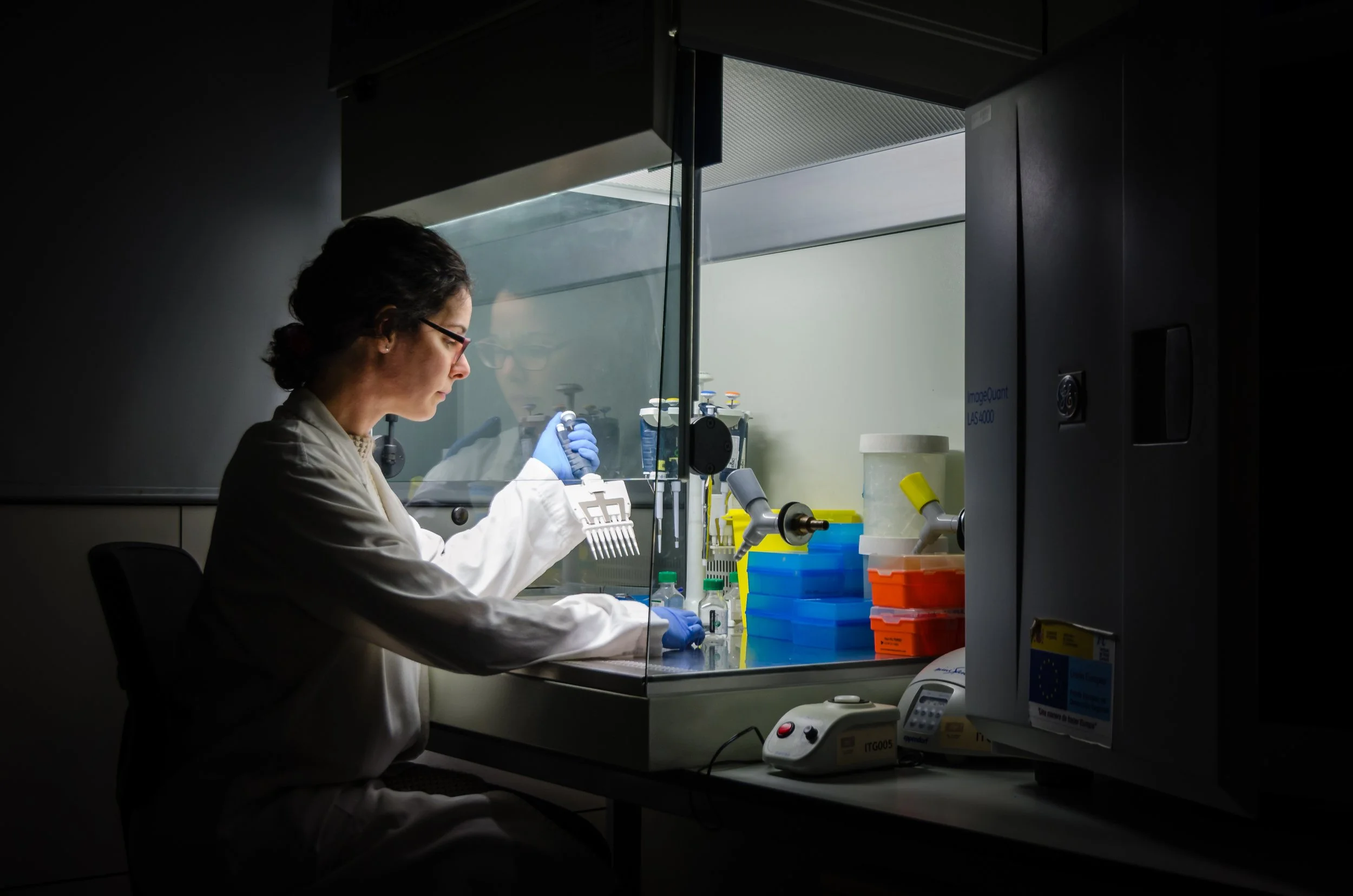 DNA to Disease: The Genetics Behind Human Health