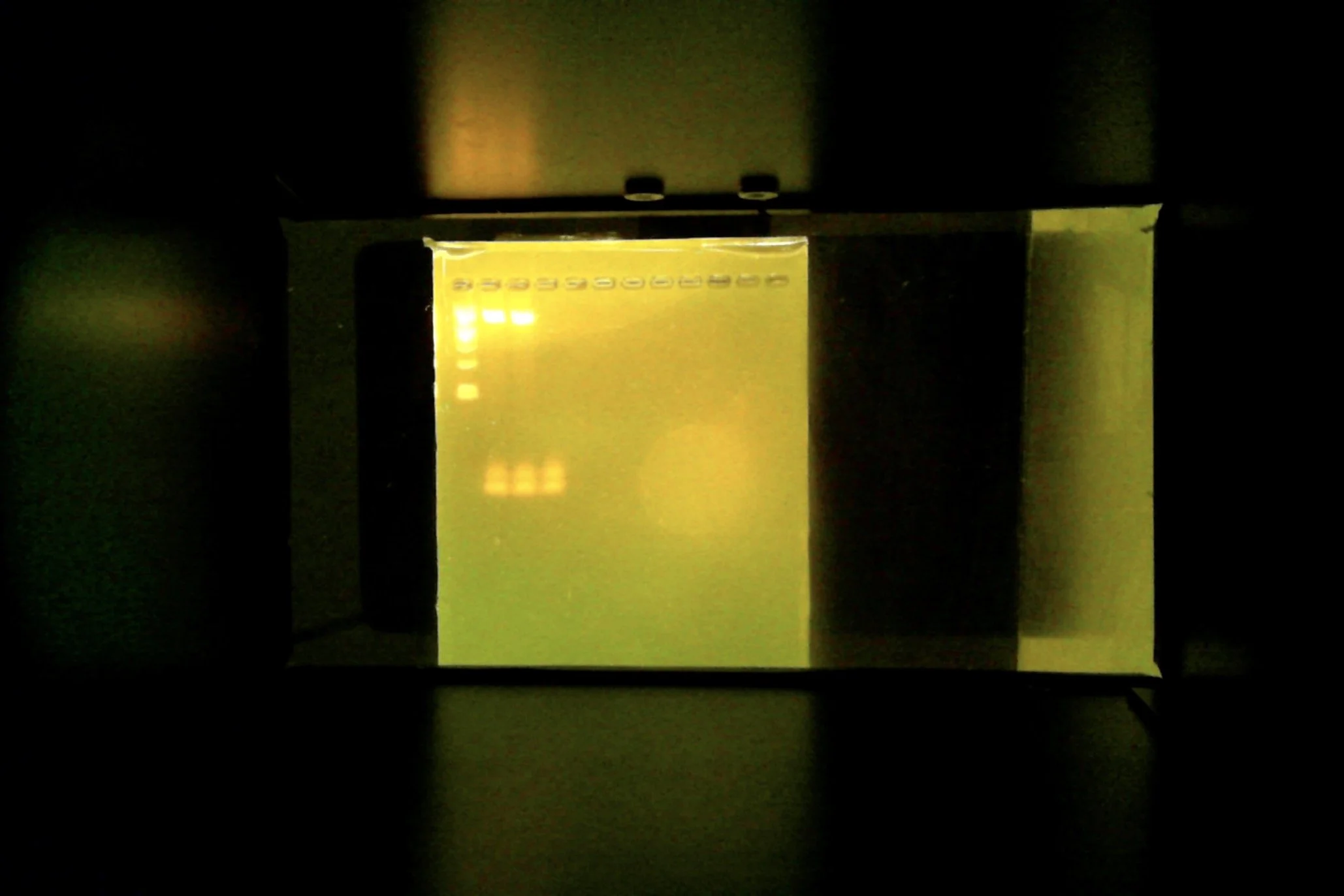 AP Biology Jumpstart