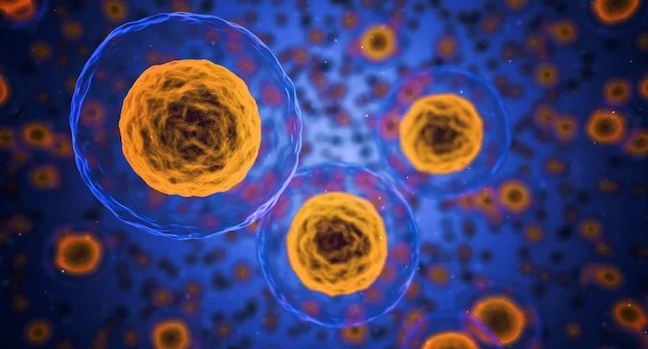 Introduction to Epidemiology and Disease Outbreak