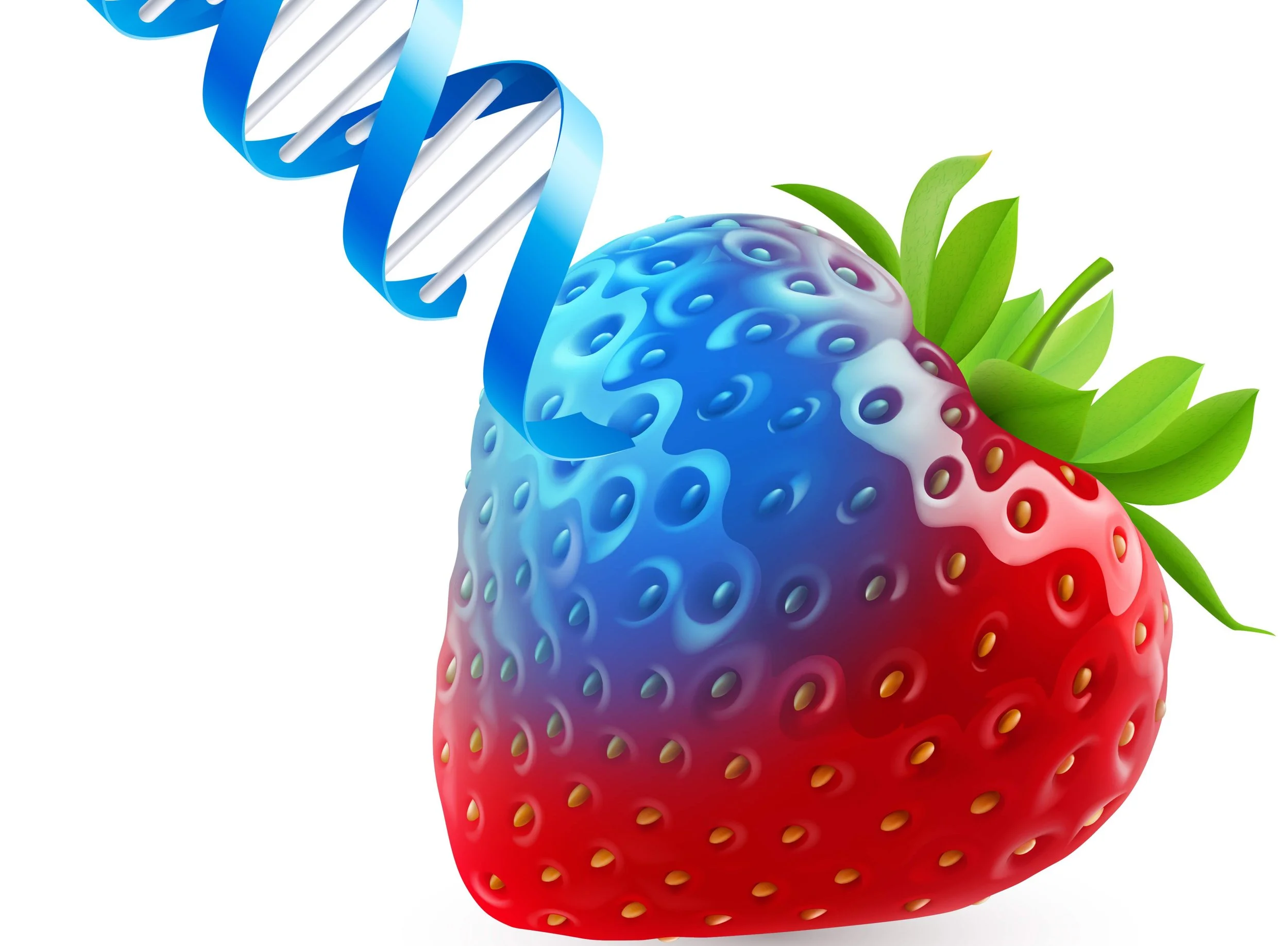 The Secret World of DNA: Strawberry DNA Extraction Lab