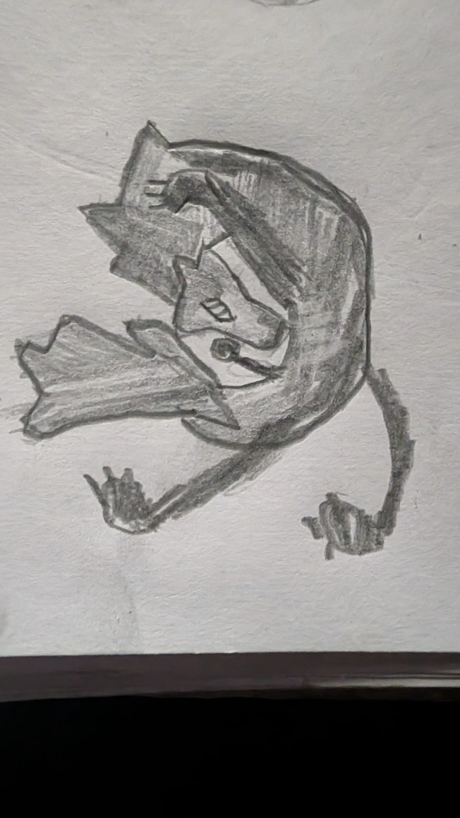 Mysterious and foreboding. II was inspired by the dog from SonnyBoy and the shapeshifter from MistBorn