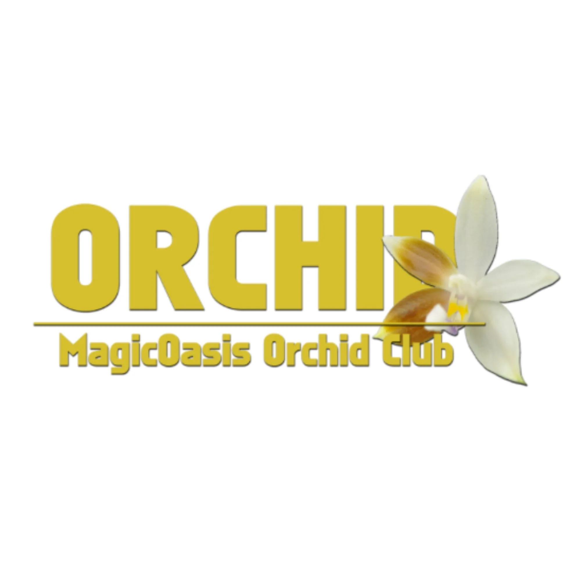 Magic Oasis Orchids