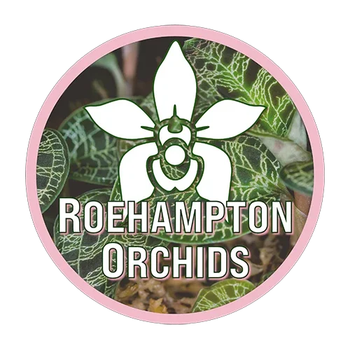 Roehampton Orchids