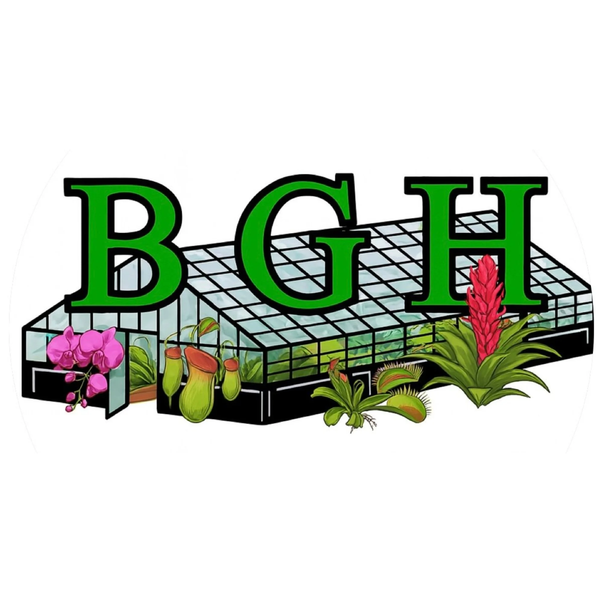 Brad's Greenhouse Carnivorous Plants