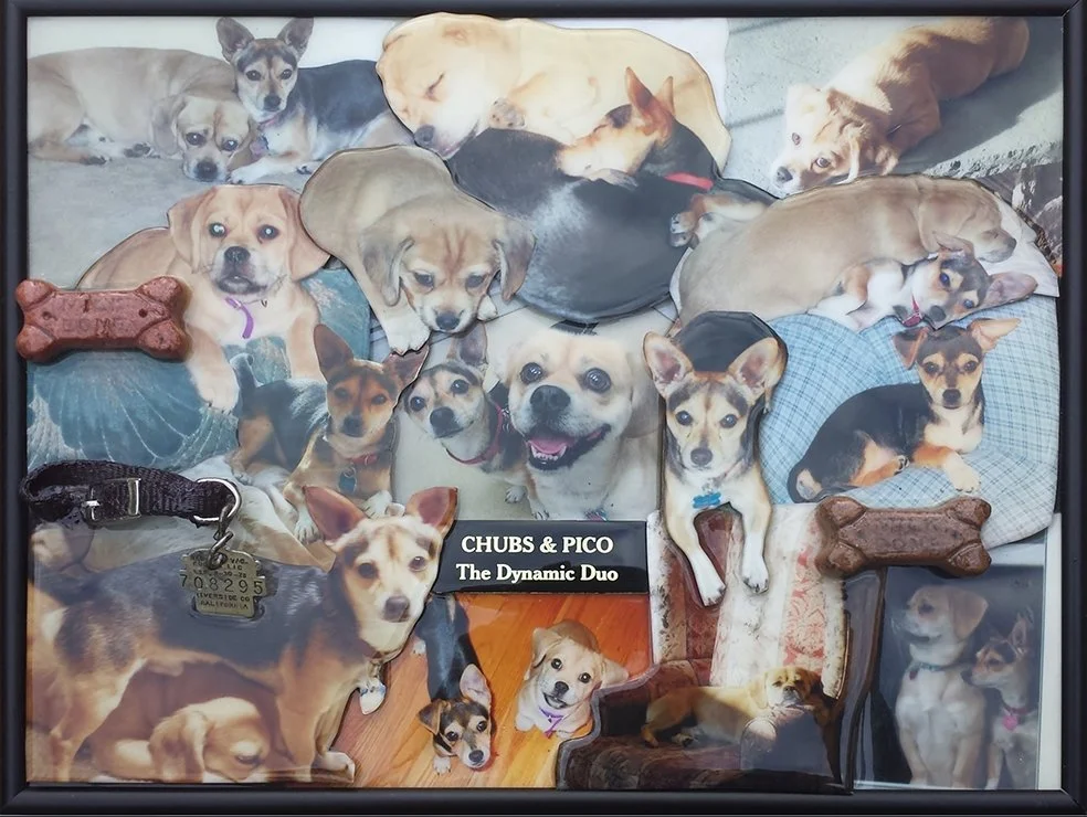 Chubs and Pico collage.jpg