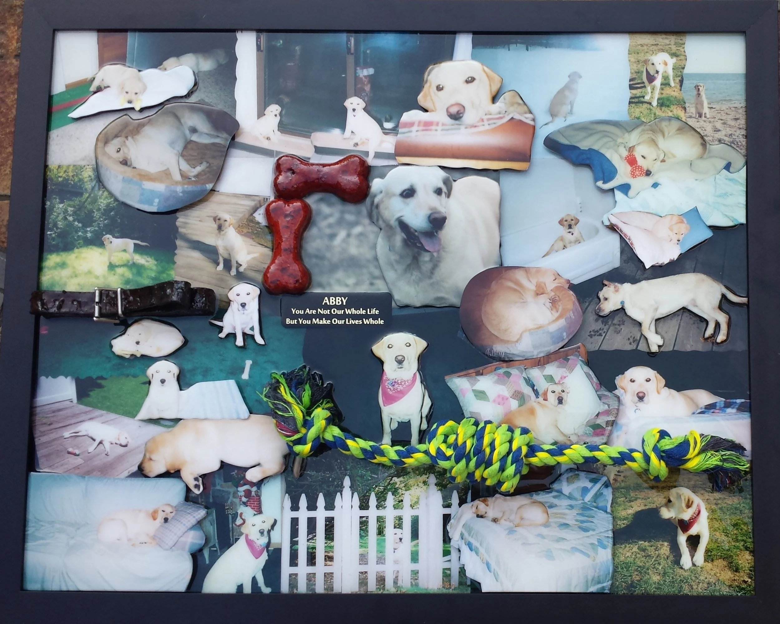Abby collage 6-21-16.jpg