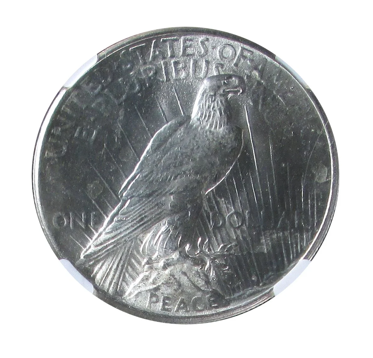 1925 P MS63 Rev 02A.JPG