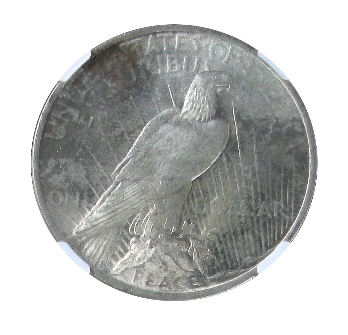 1923 P MS63 Rev 02A.JPG