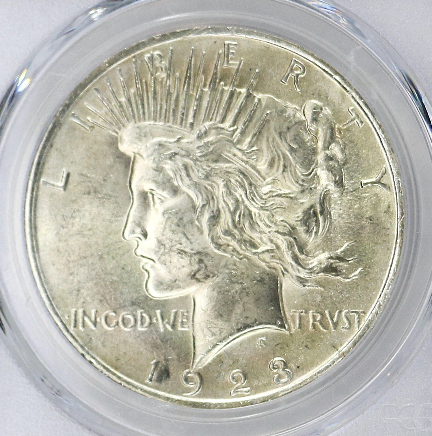 38461511 1.jpg