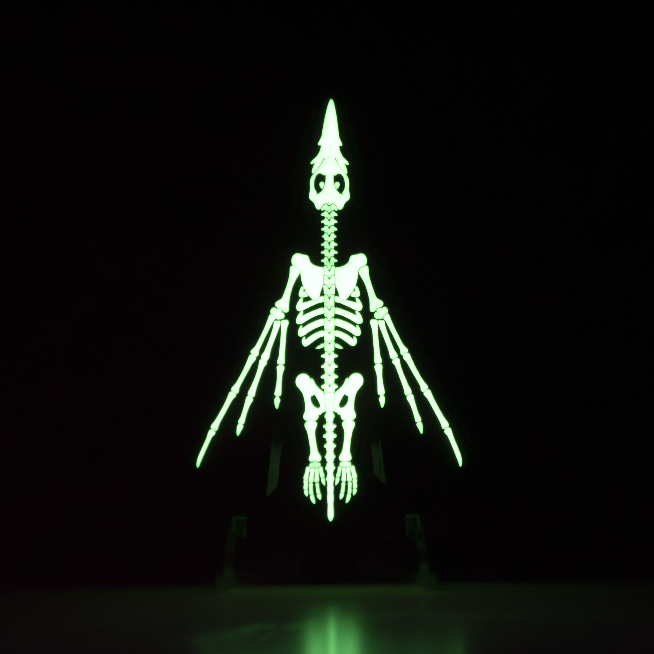 DSC_0178.png