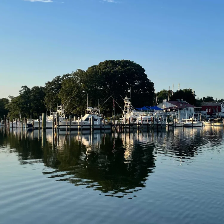 Dennis Point marina and creek