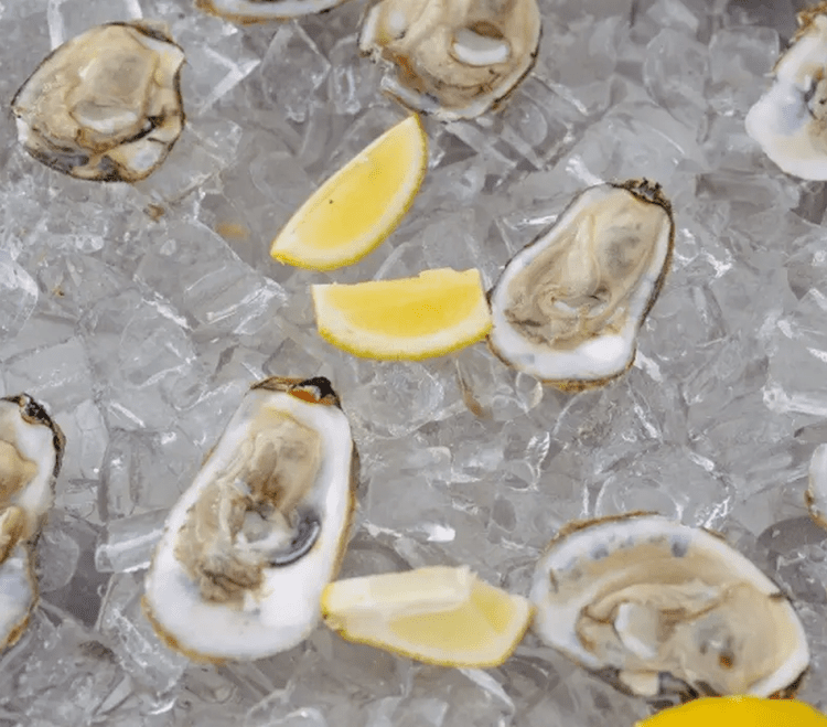 Oysters and lemon