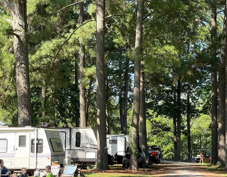 Campground at Dennis Point