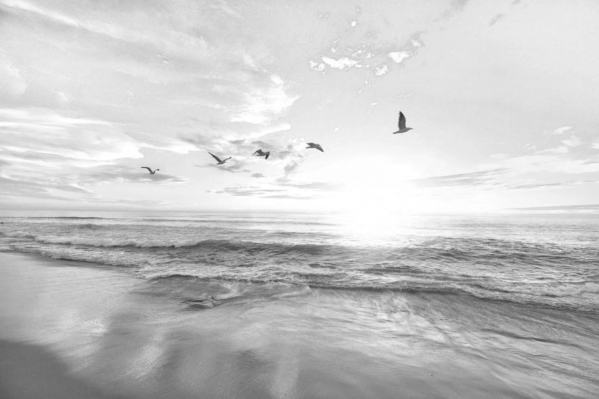 Black and white photo of a beach with waves, a cloudy sky, and birds flying in the sky.