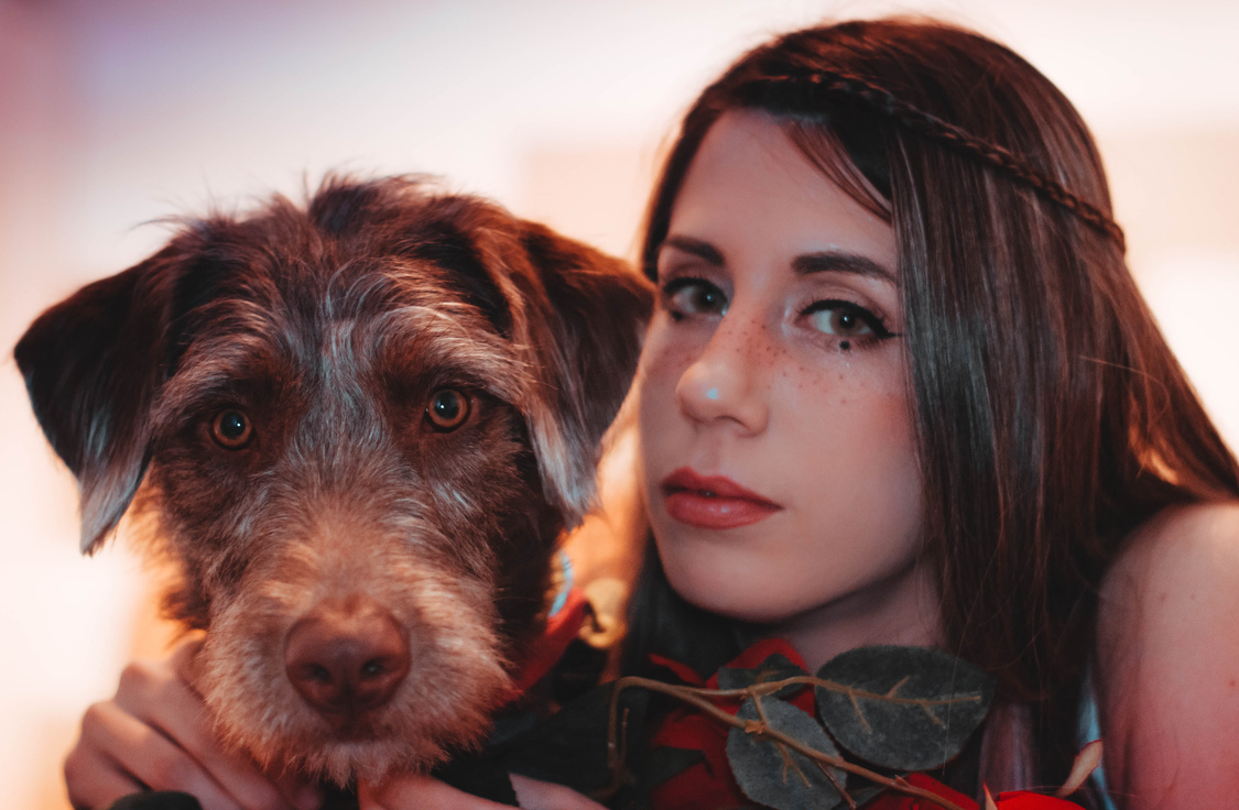 What Your Dog Is Telling You