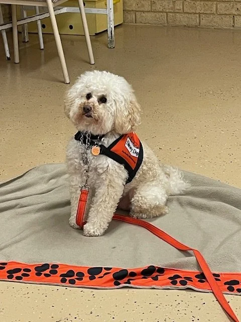 Story Dogs