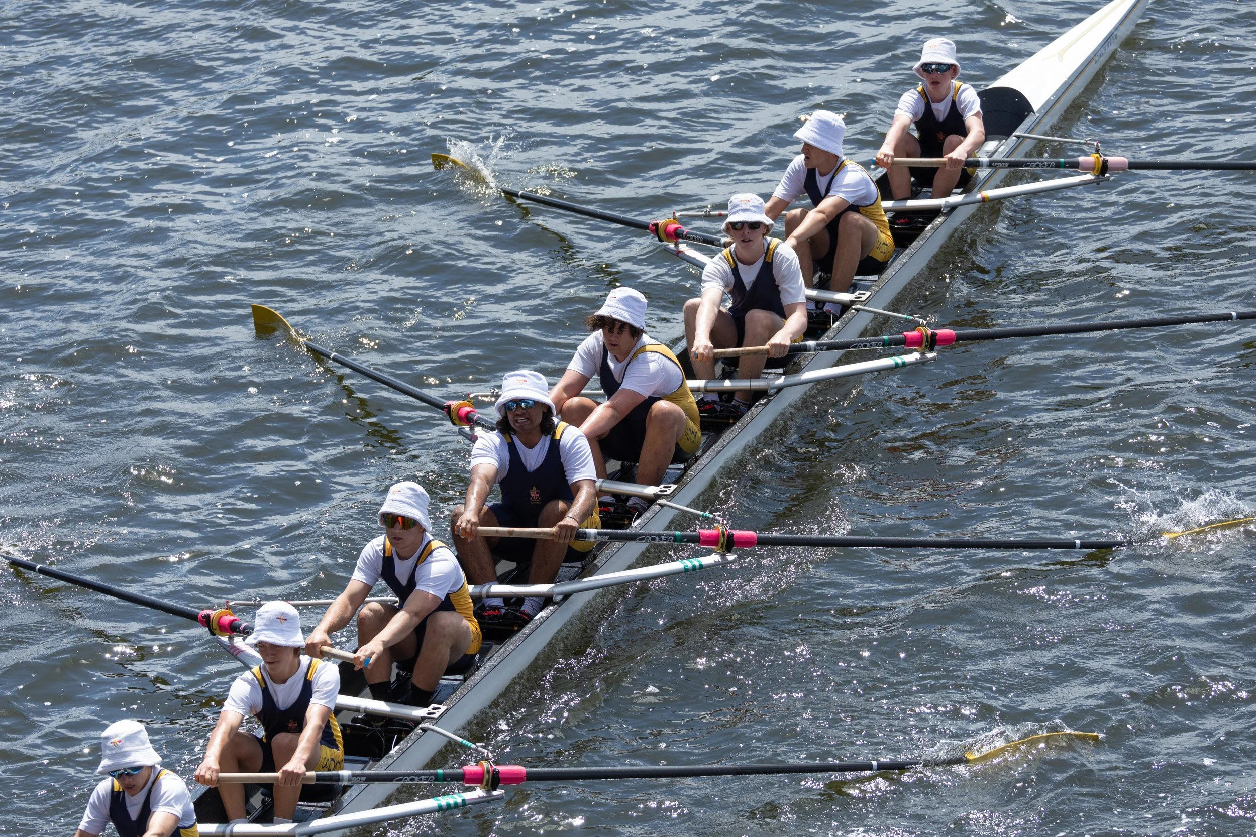 CCGS Rowing - Acquinas Regatta 26-10-24 12938.jpg