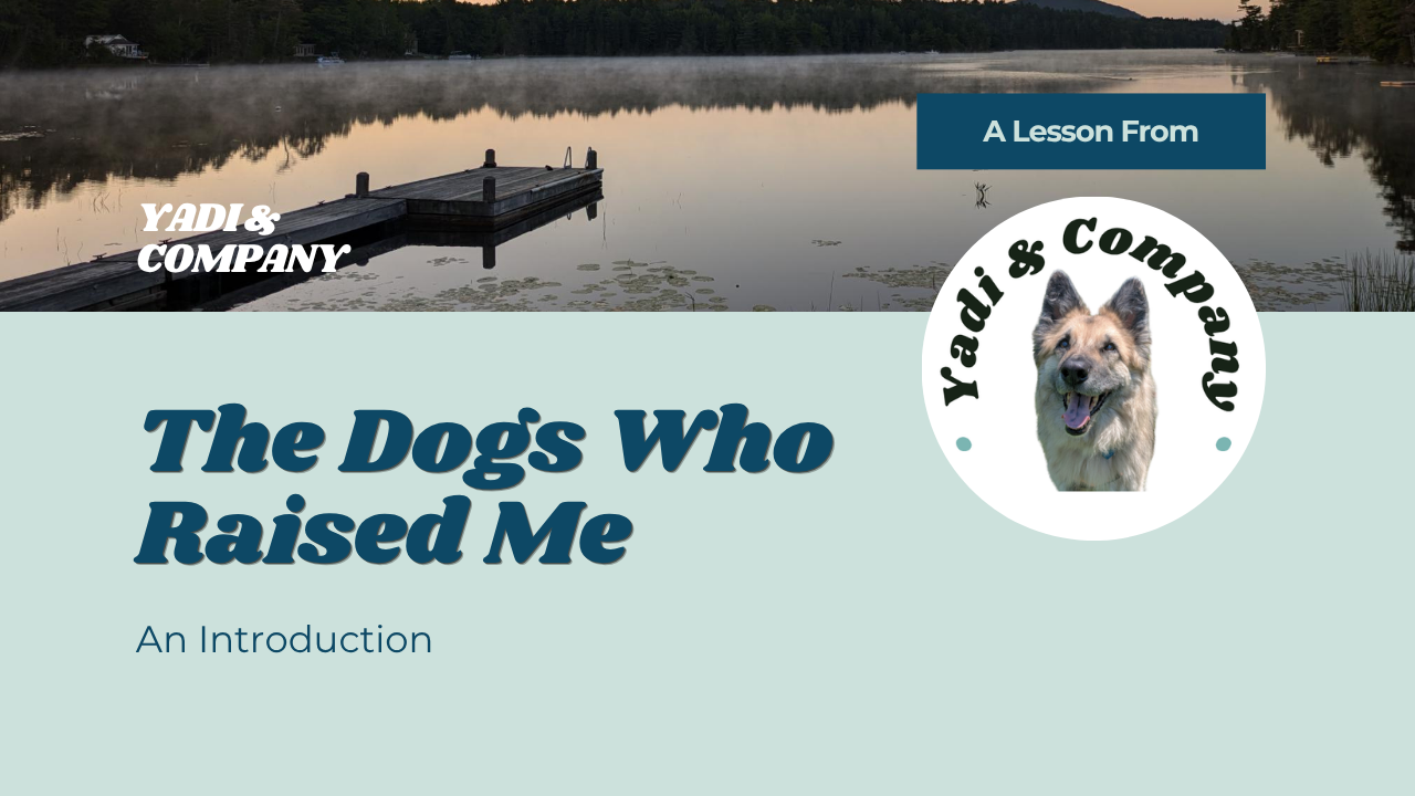 The Dogs Who Raised Me: An Introduction
