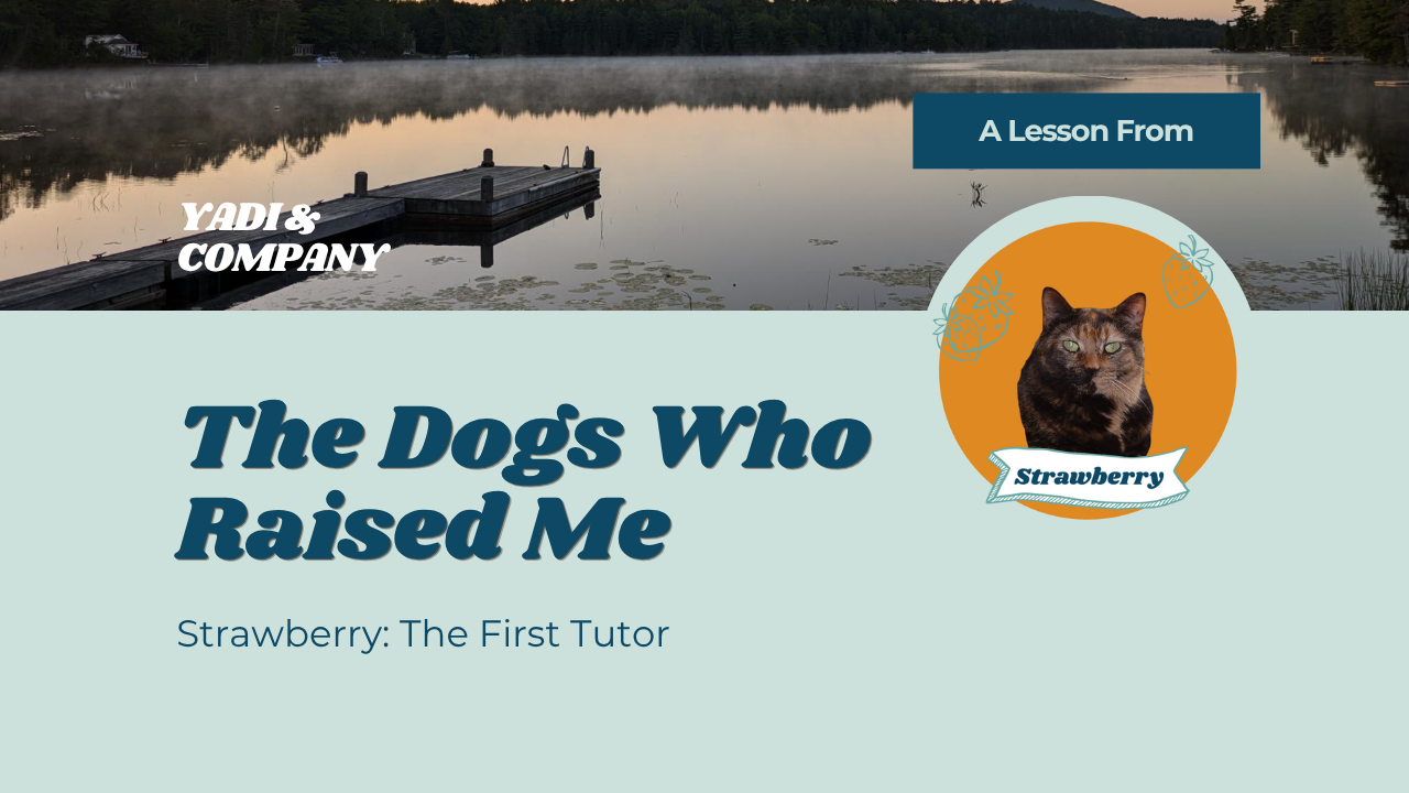 Strawberry: The First Tutor